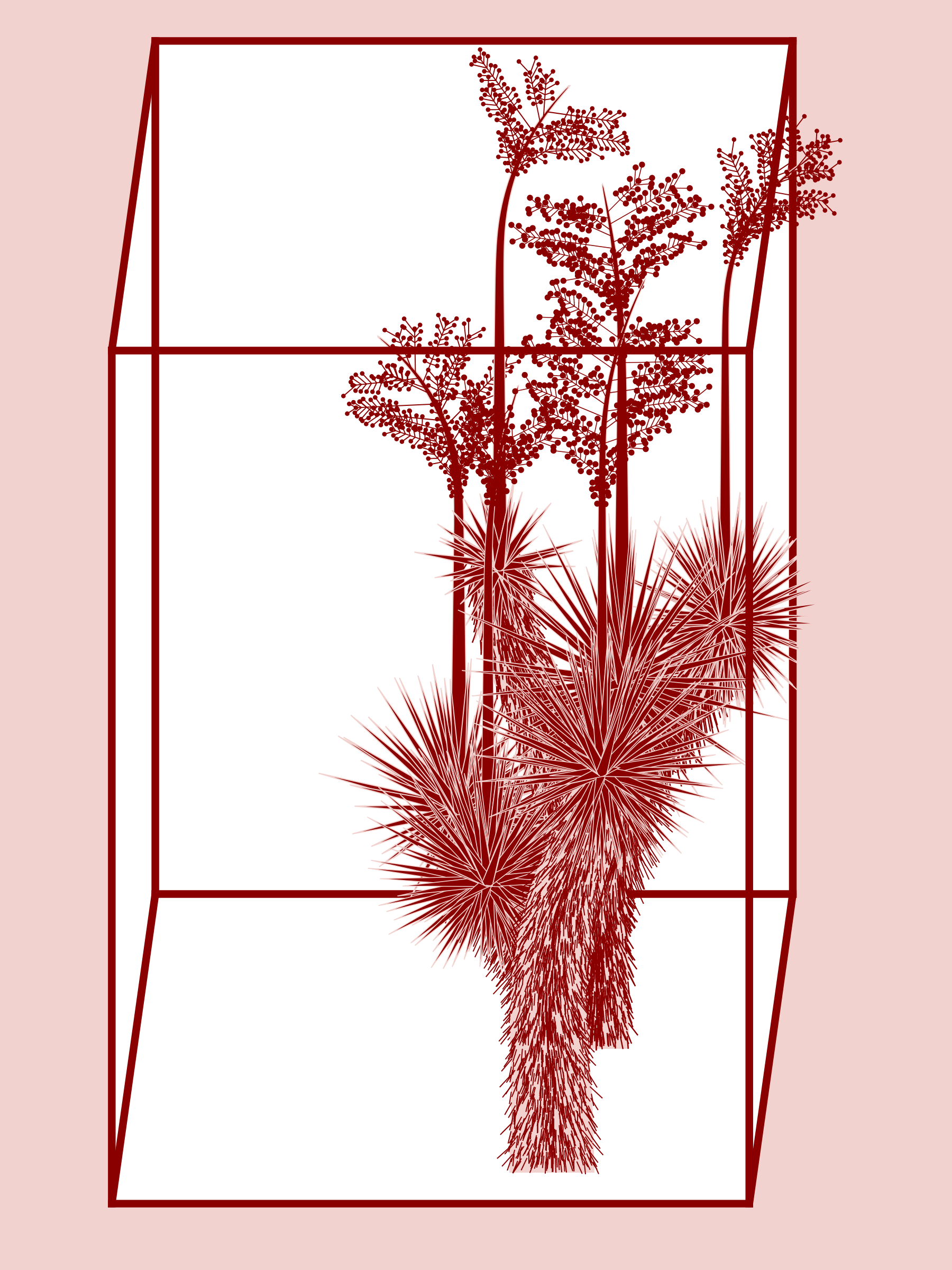 Marfa Yucca #38