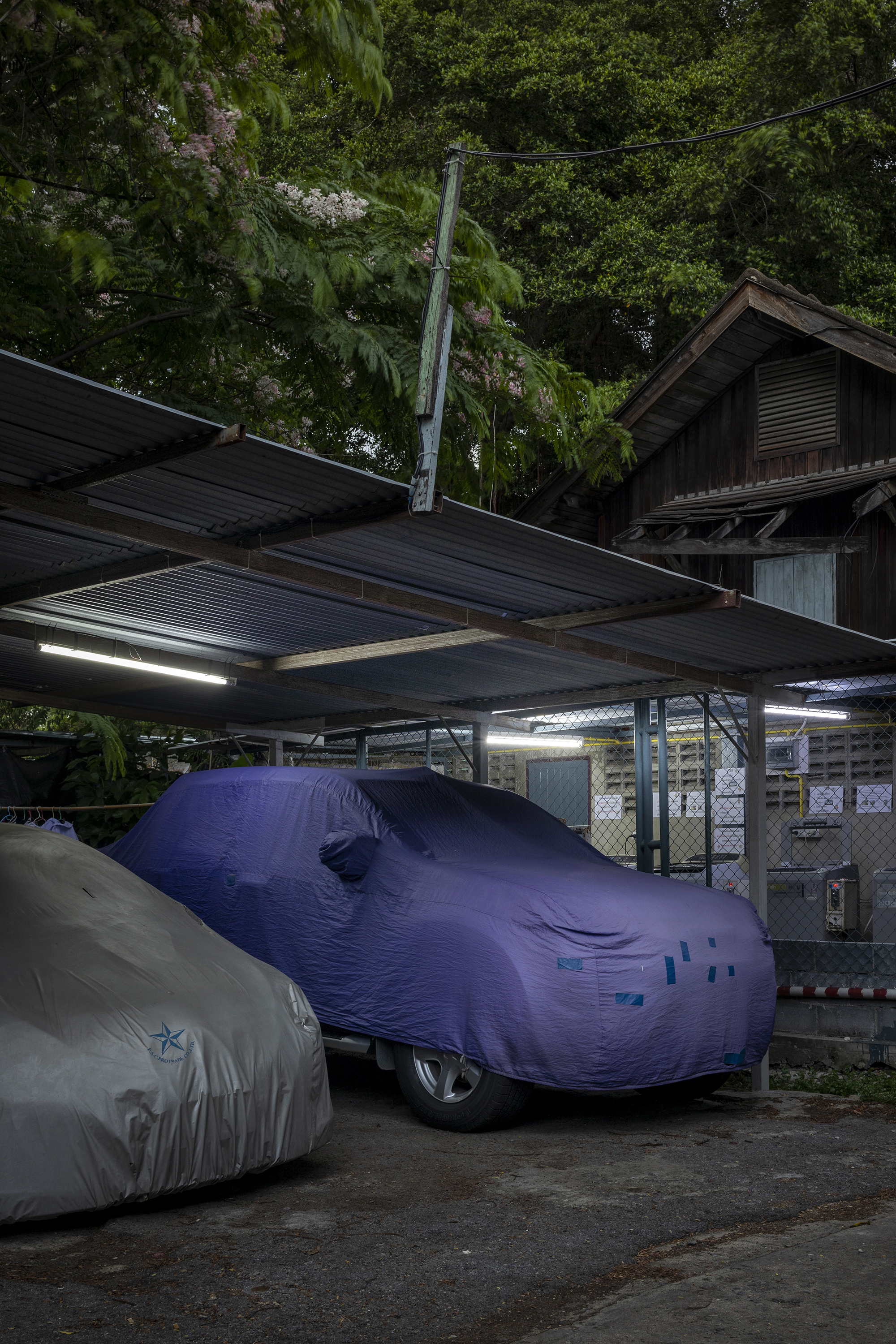 CVRD #58 by Peter Nitsch