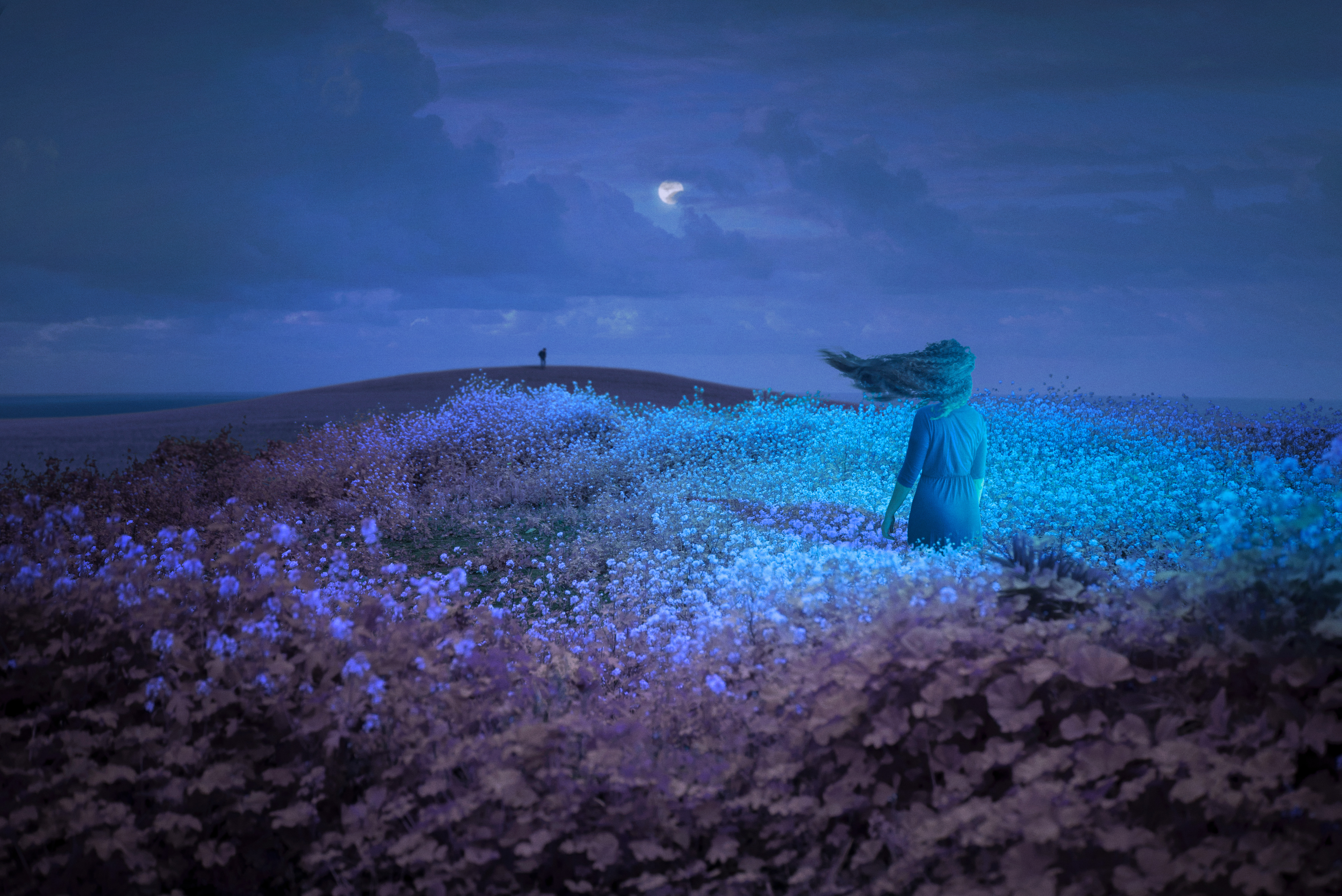Blue Hour Wind