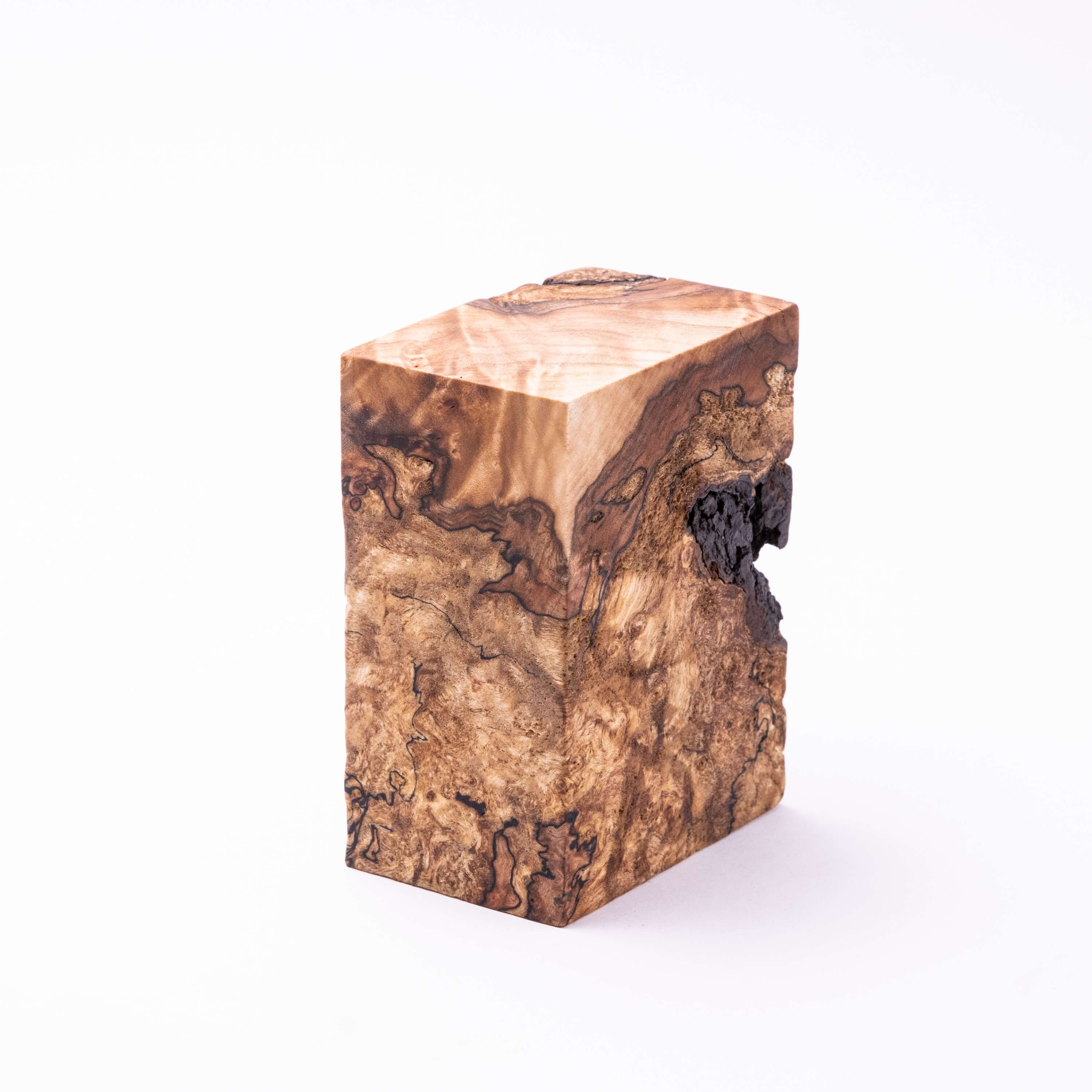 Non FungiBurl #19