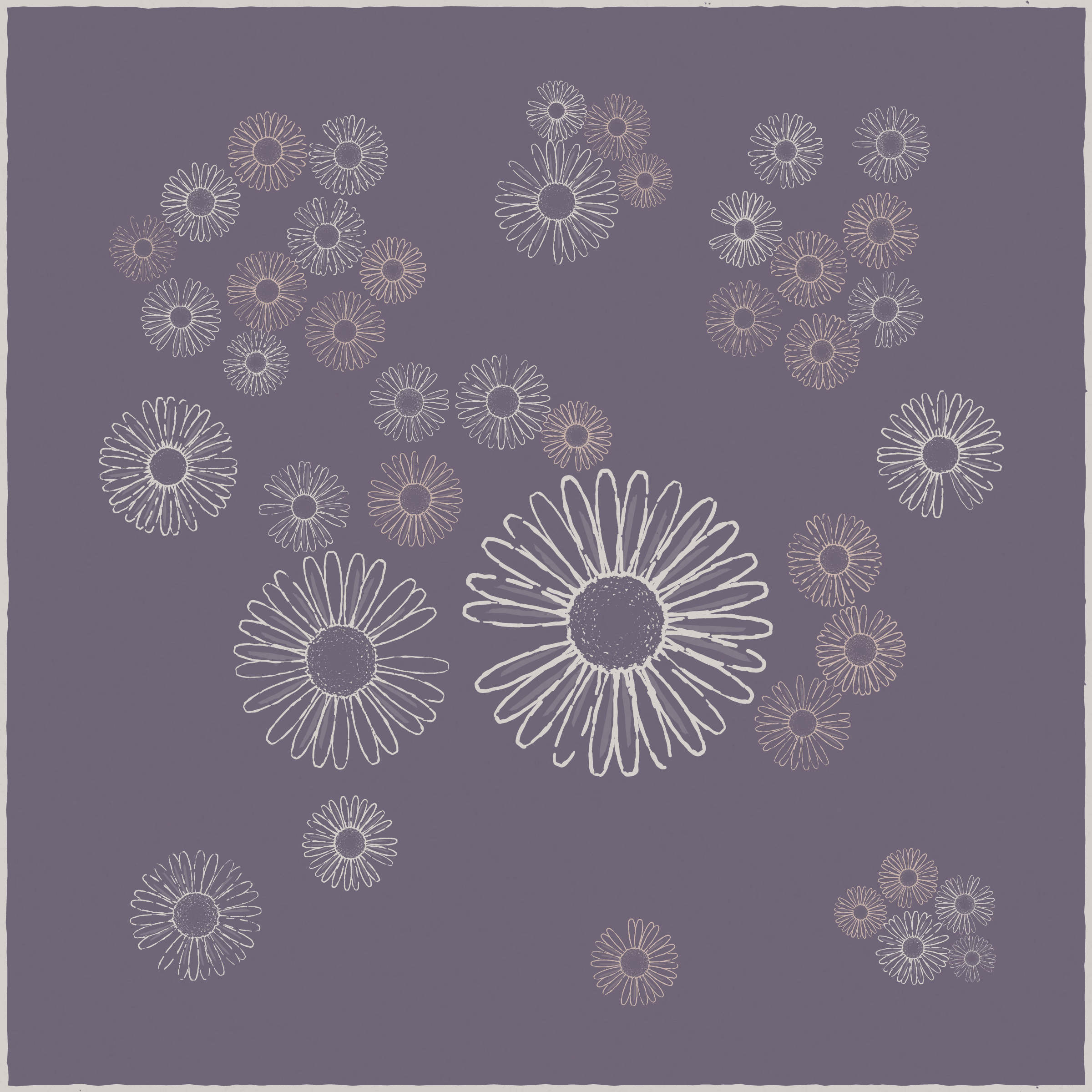 Daisies #144