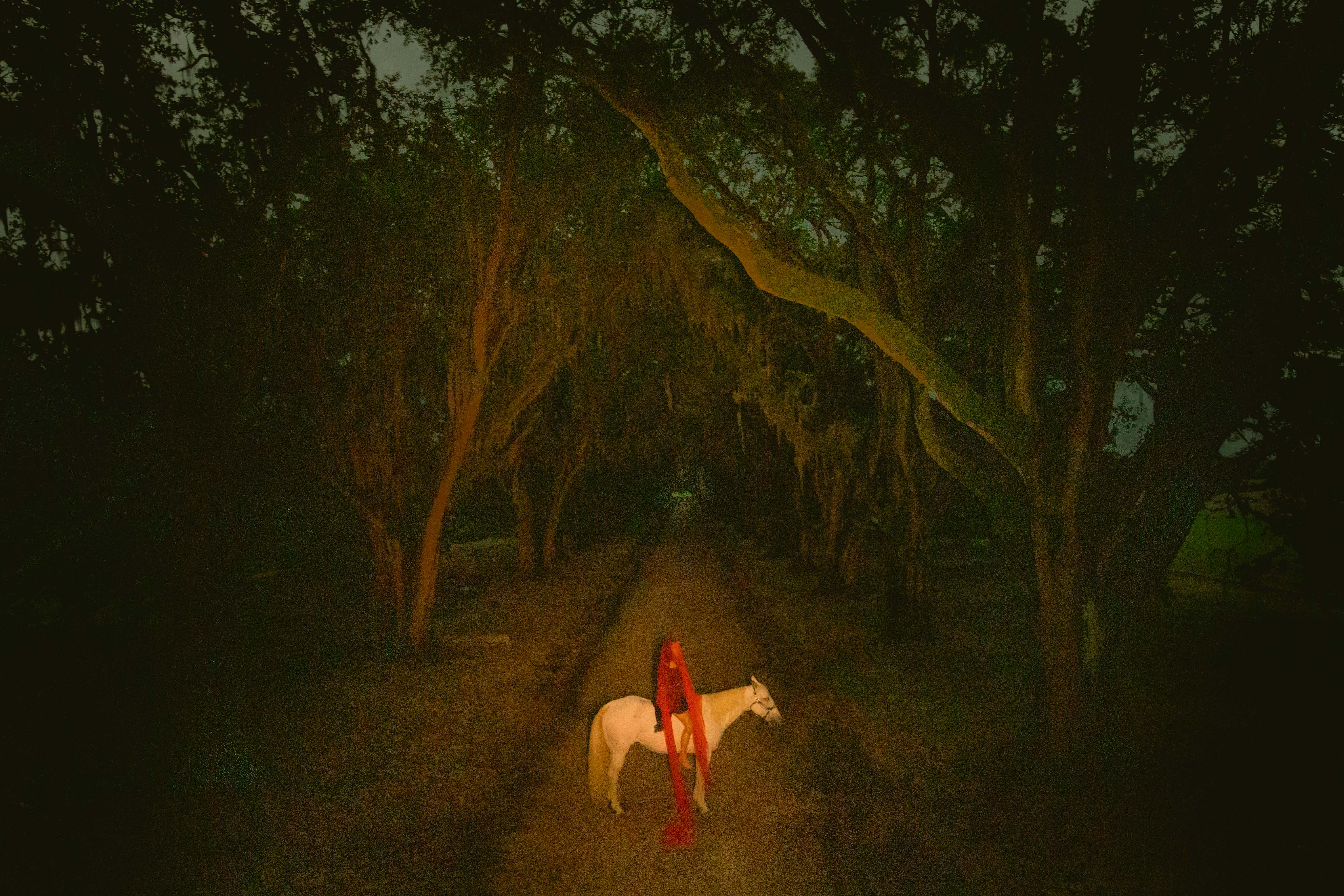 Summer In The South #39