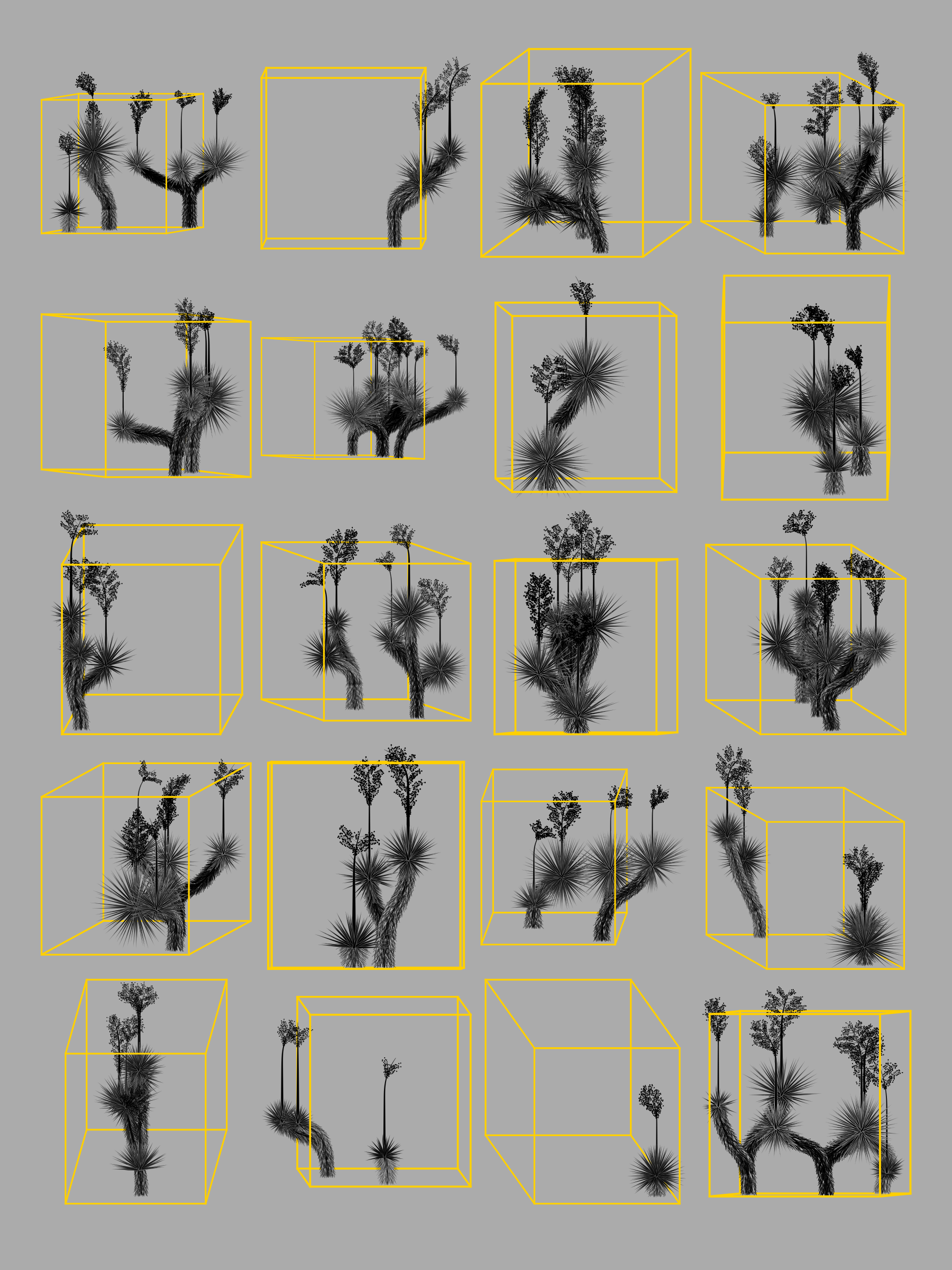 Marfa Yucca #221