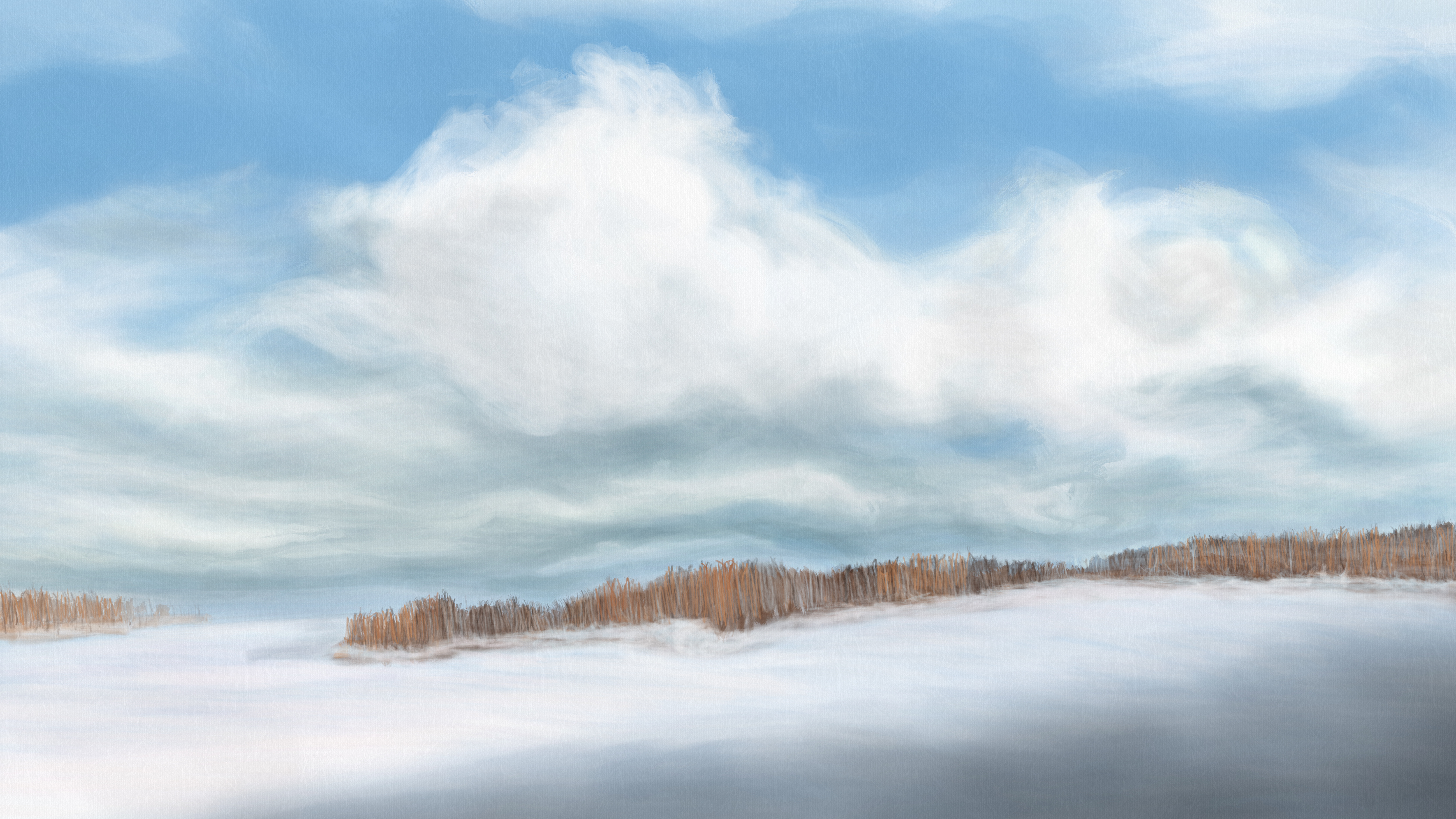 Life Impression 44