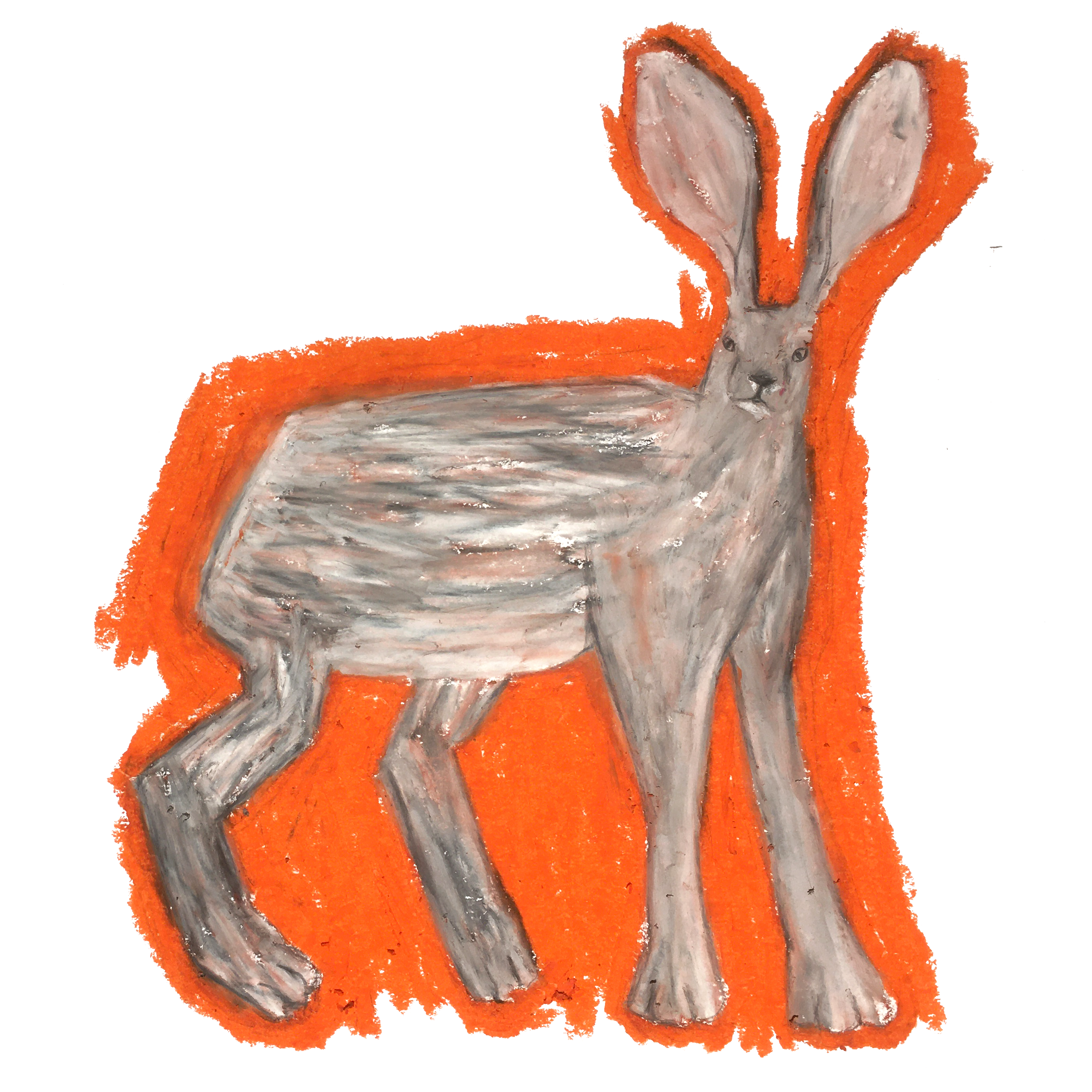 Clueless Hare