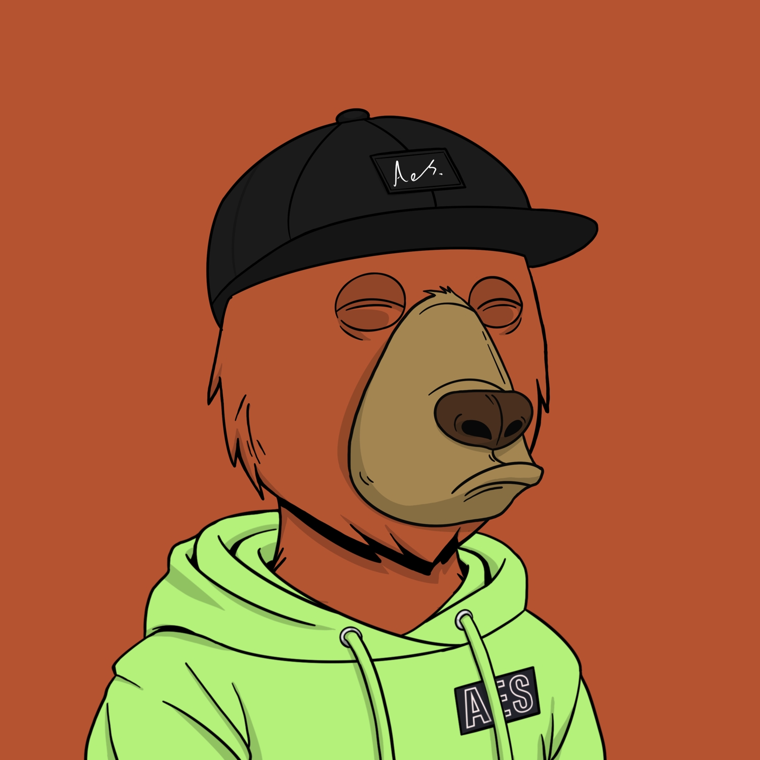 AES Bear #2537