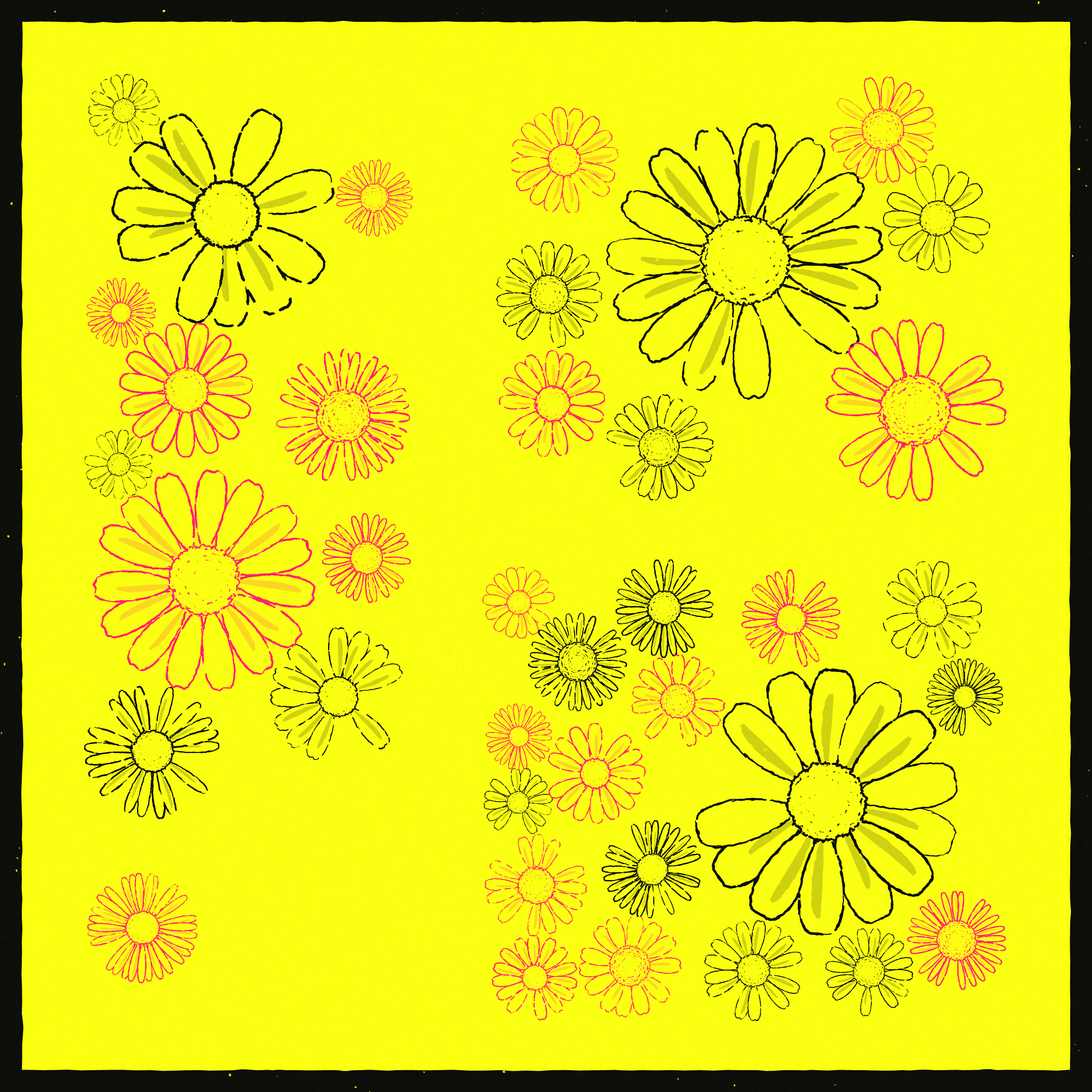 Daisies #46