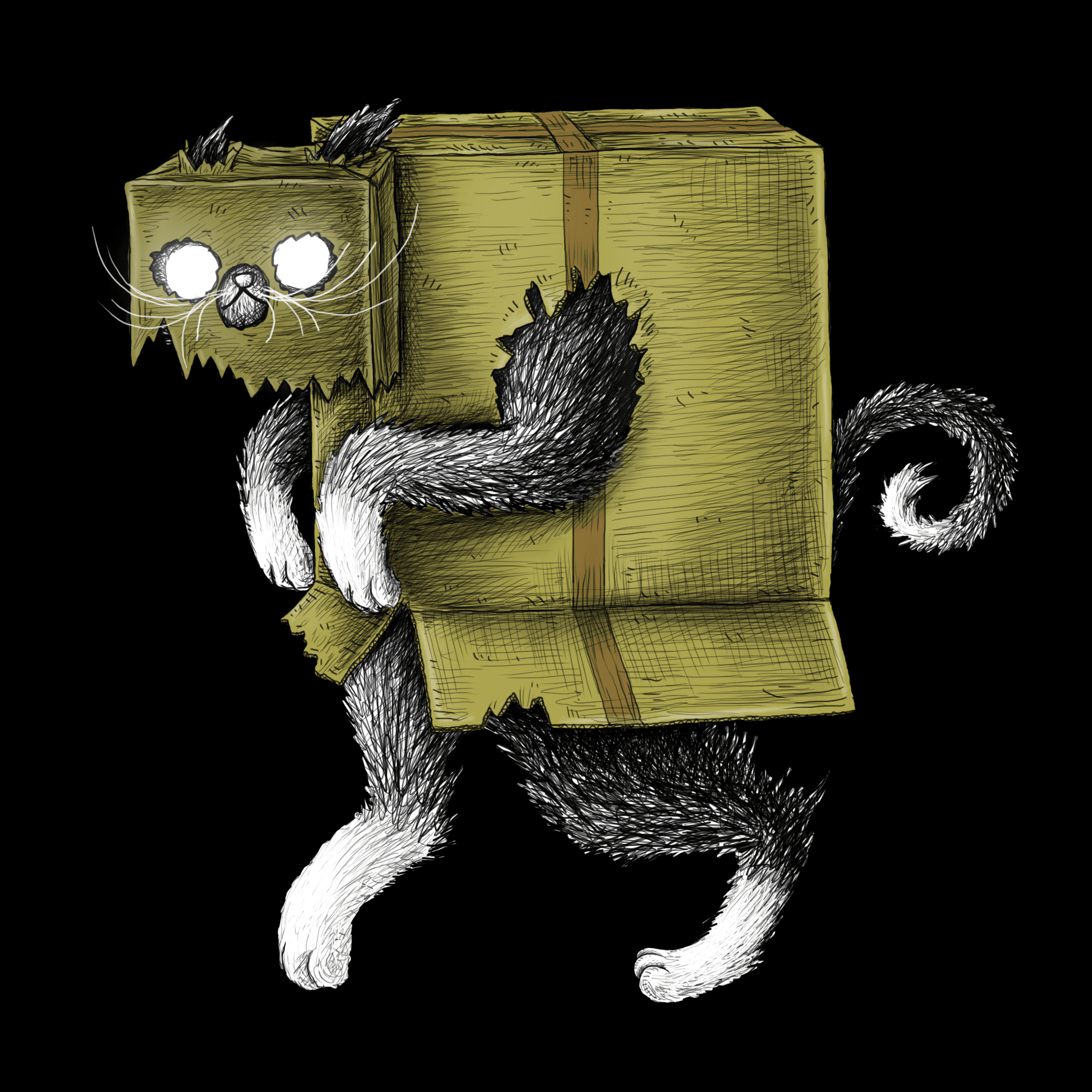 Stealthcat - StealthBox