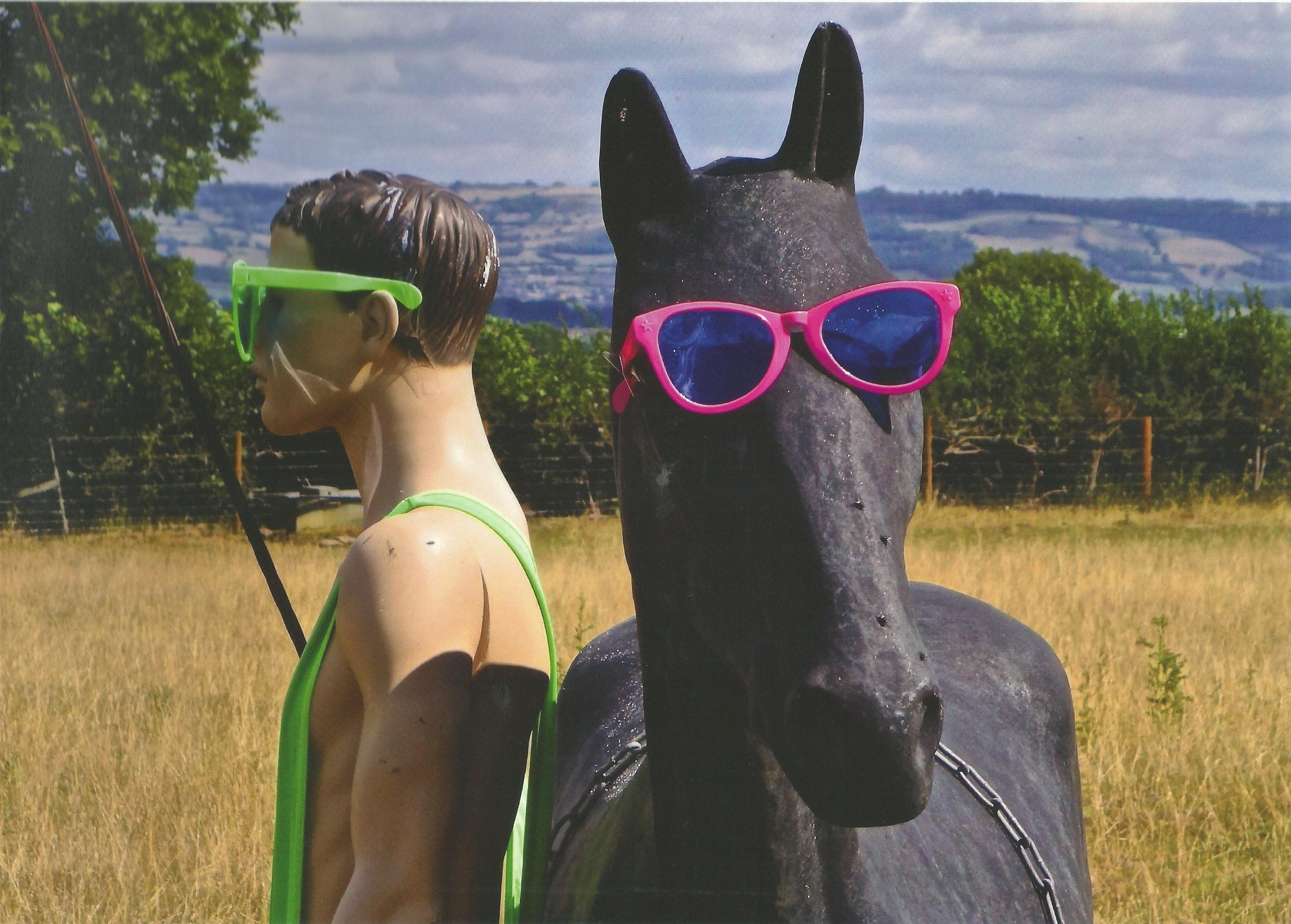 Horse