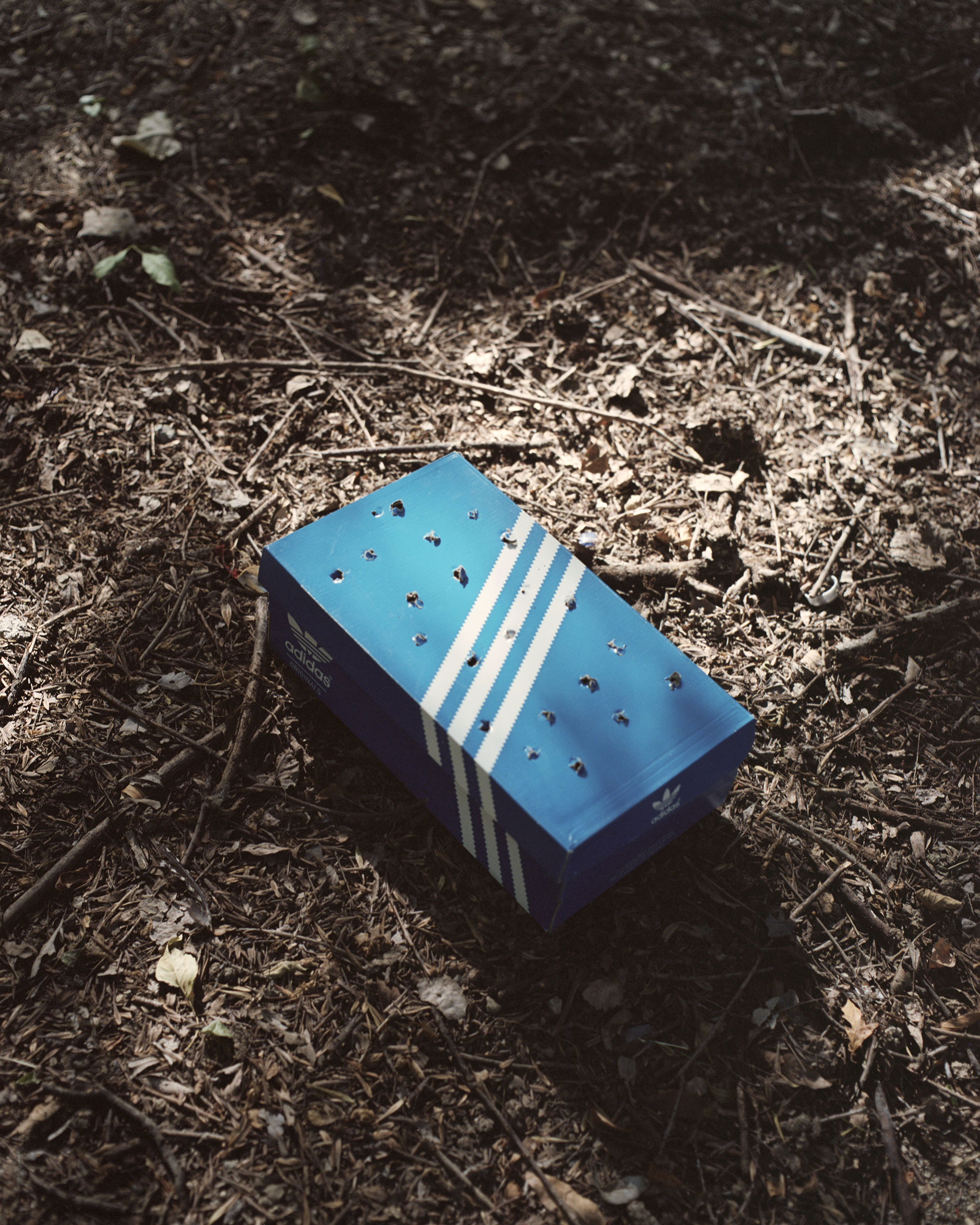 Box With Some Holes