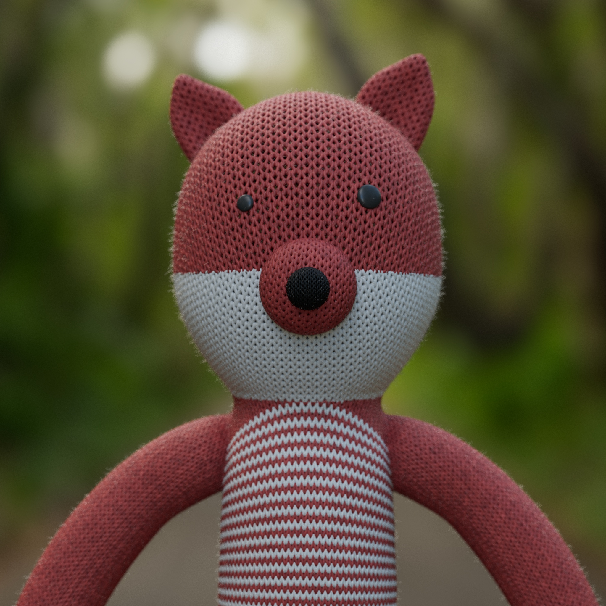 Dion's Red Fox - Cancer Fundraising 