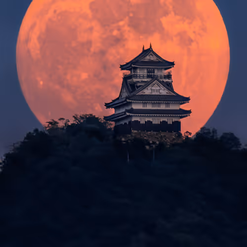 The Moon and Japanese Castles