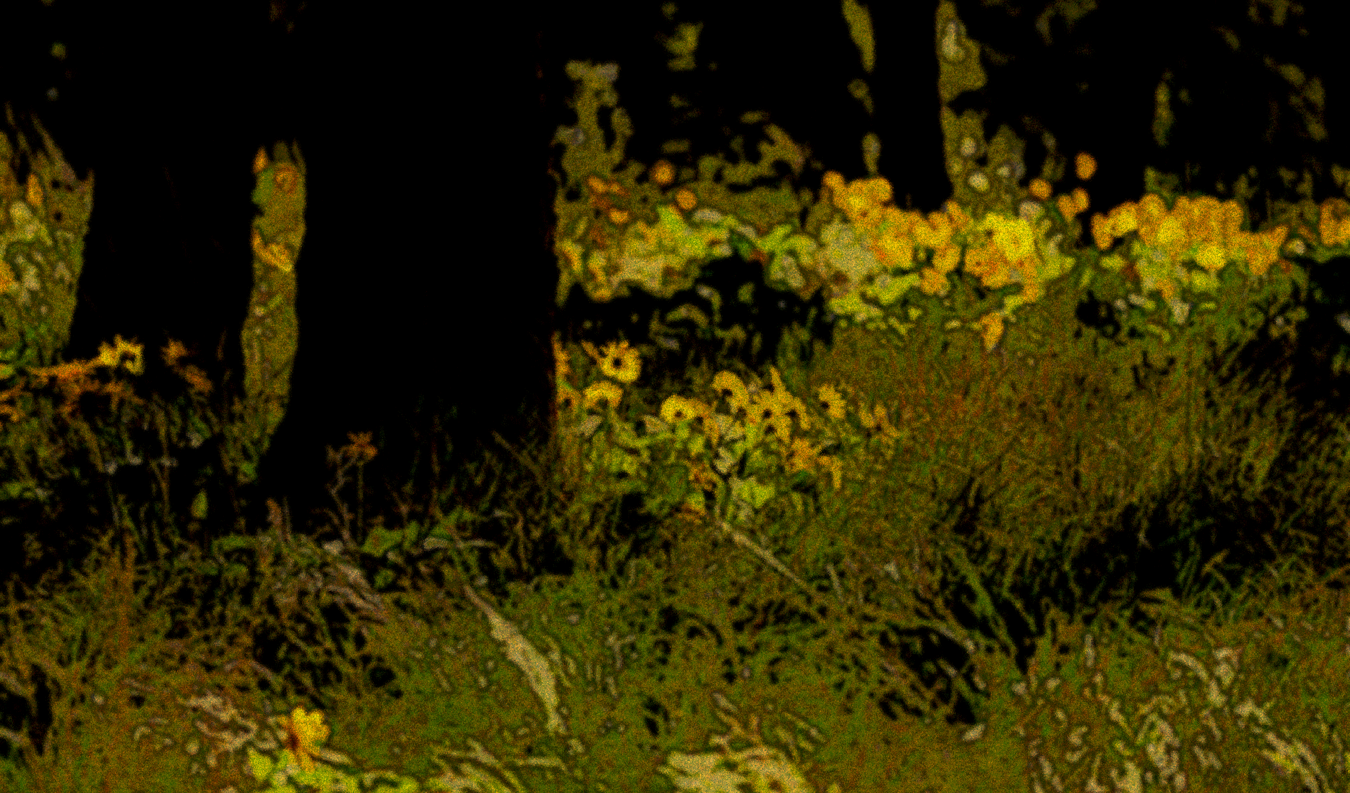 flora