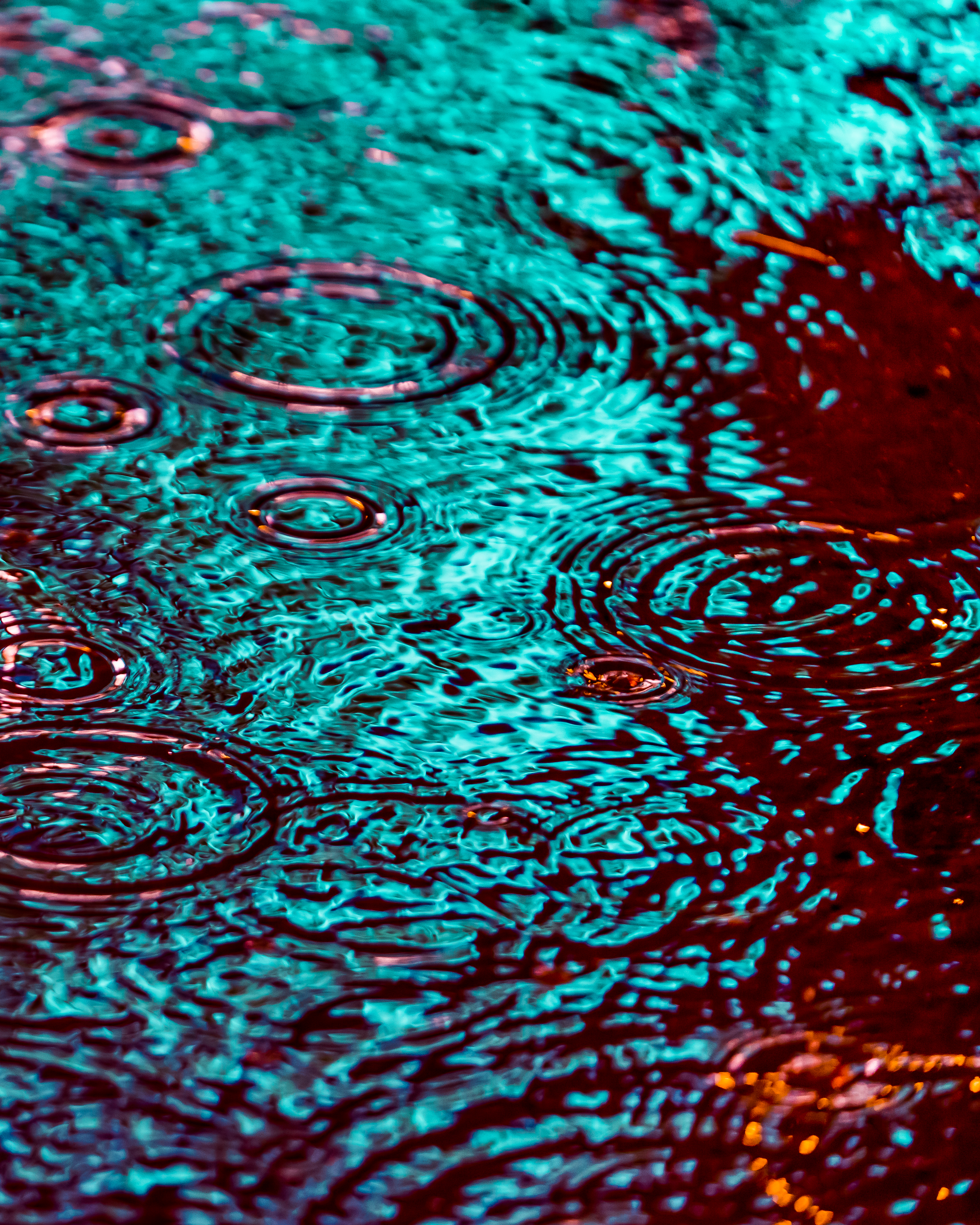 DRIP #295