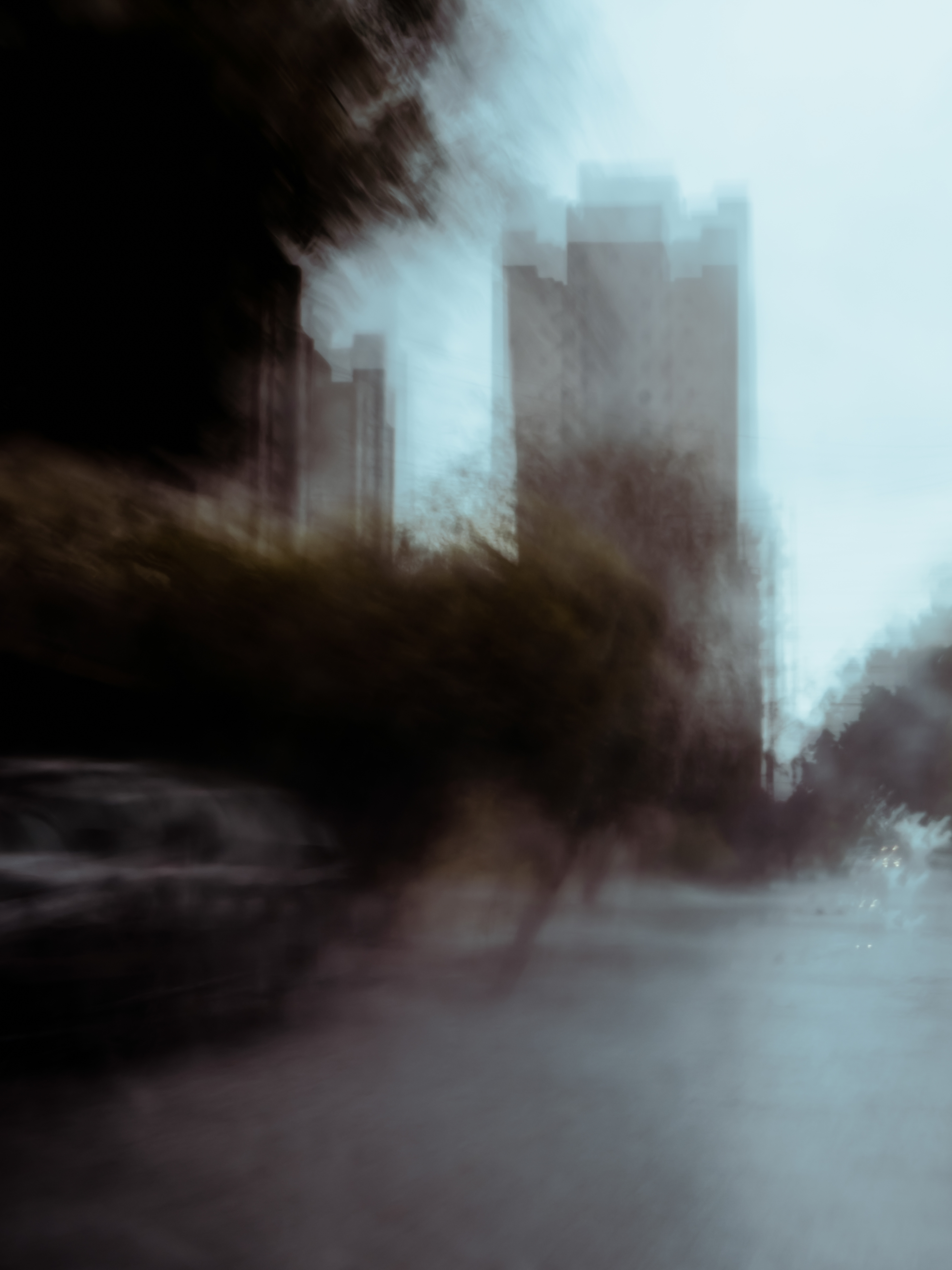 Focus XVII