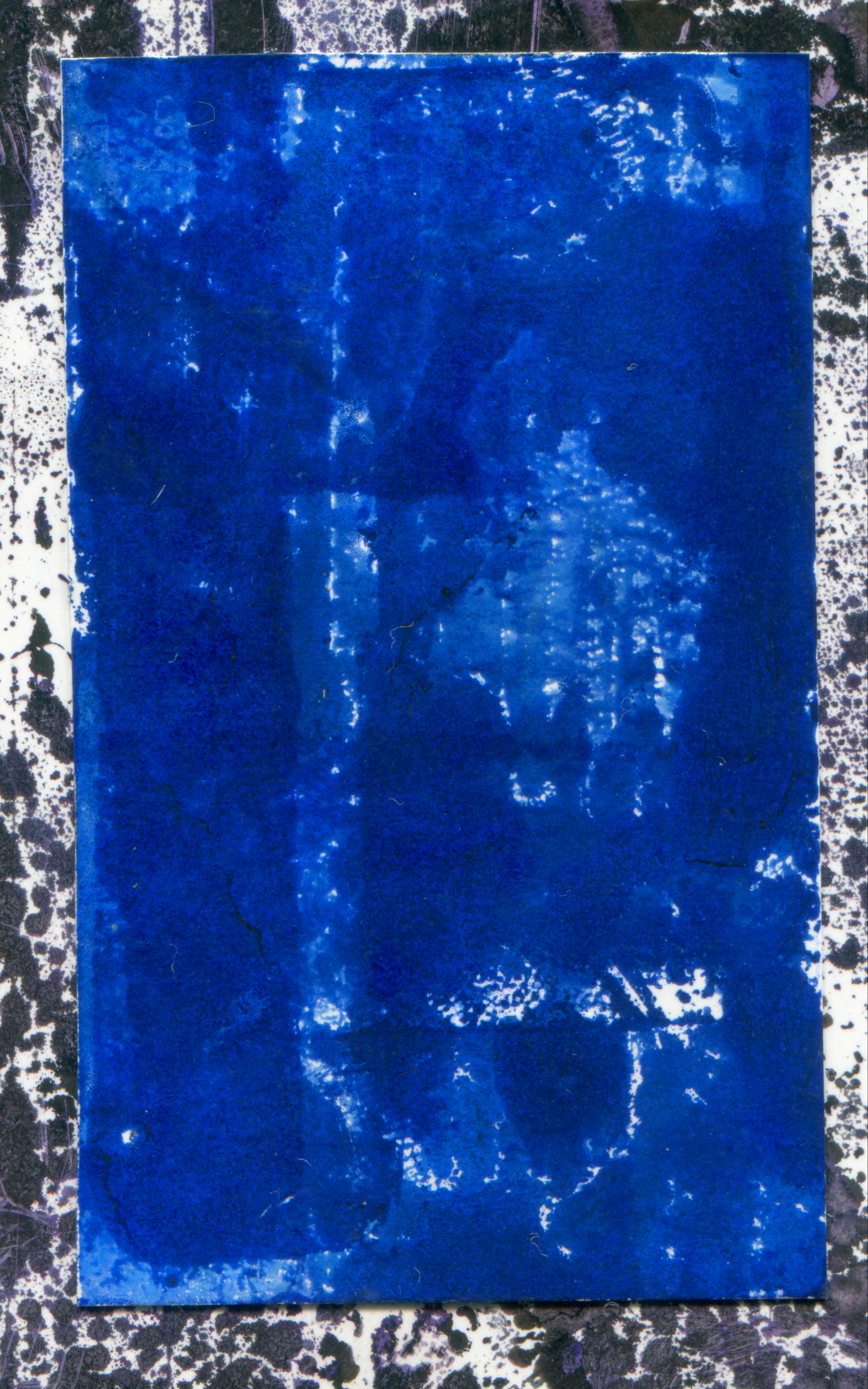 Polu 