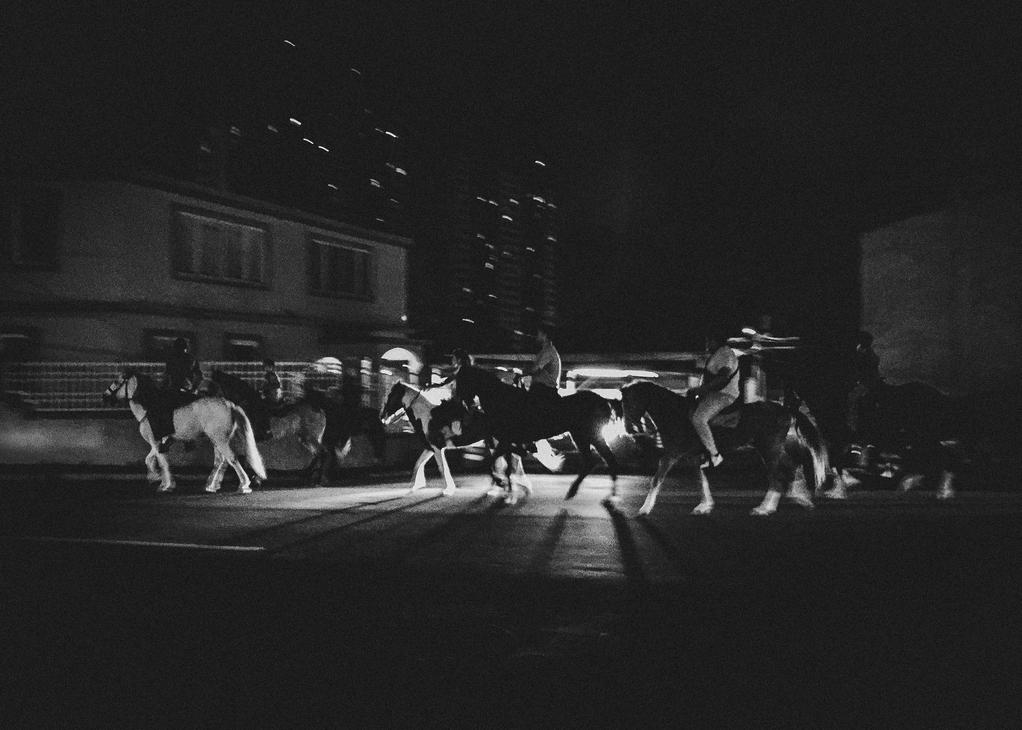 Bonanza, 2017