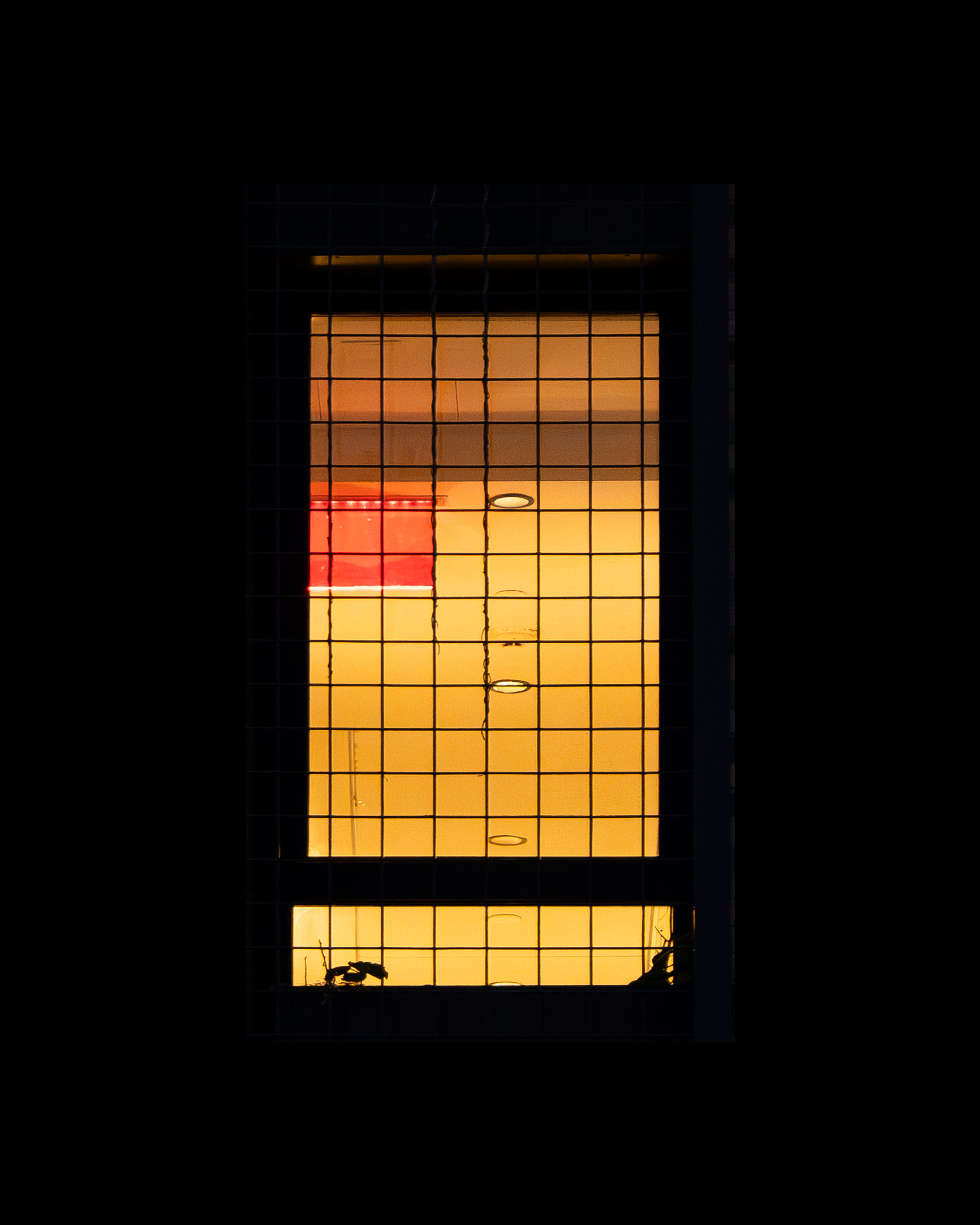 WINDOW 212