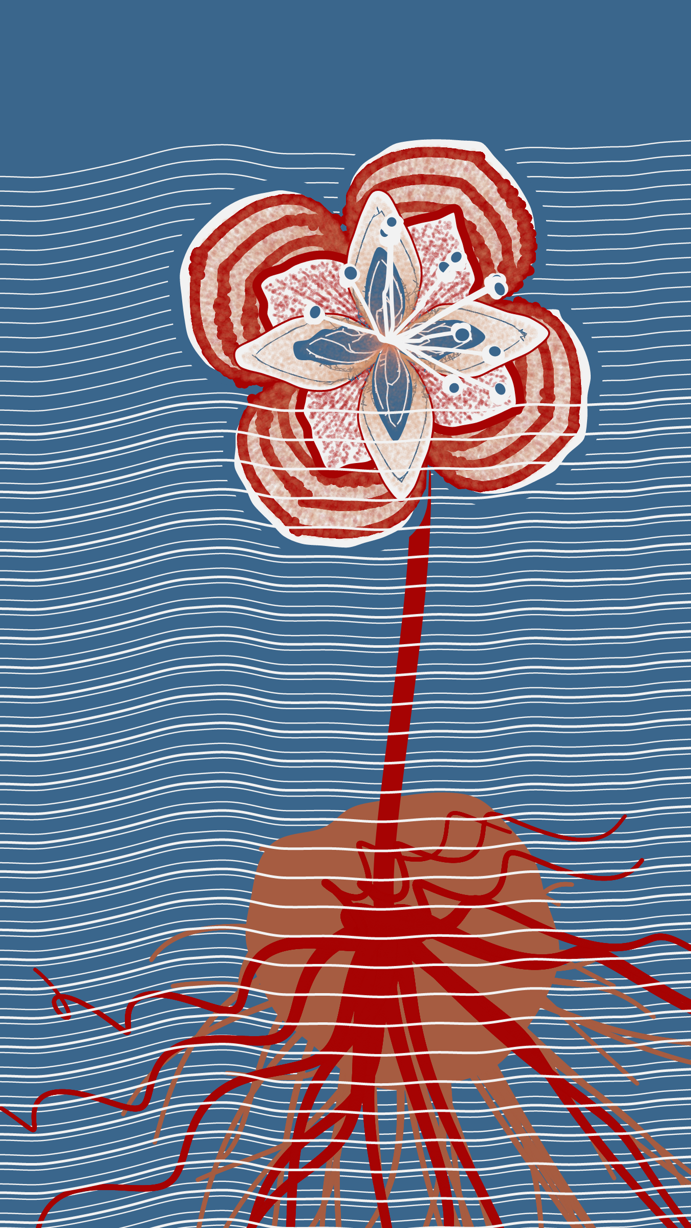 Underwater #89