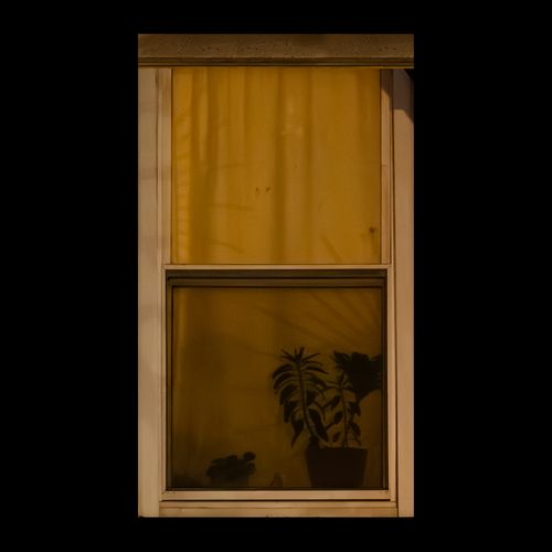 WINDOW 13