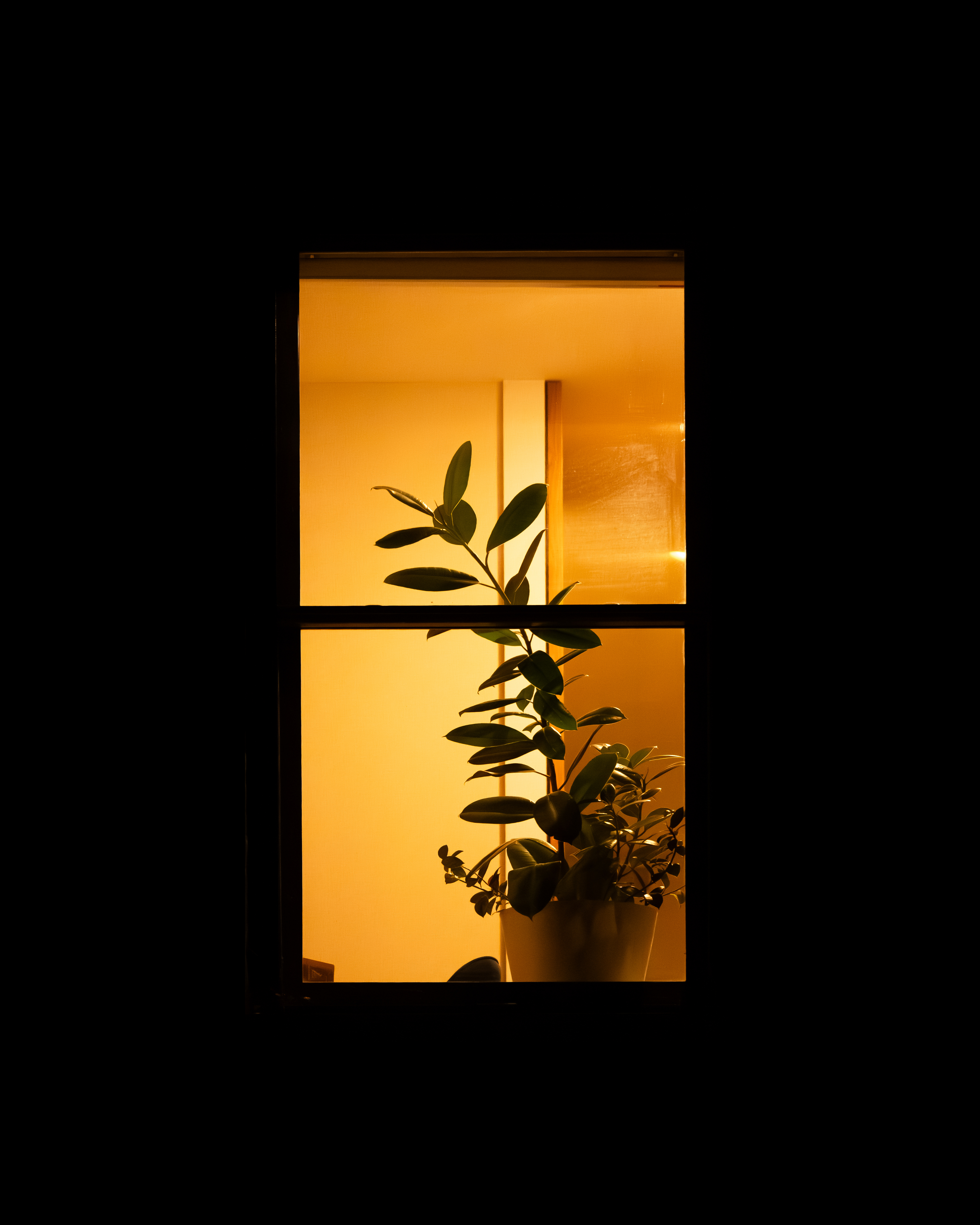 WINDOW 414