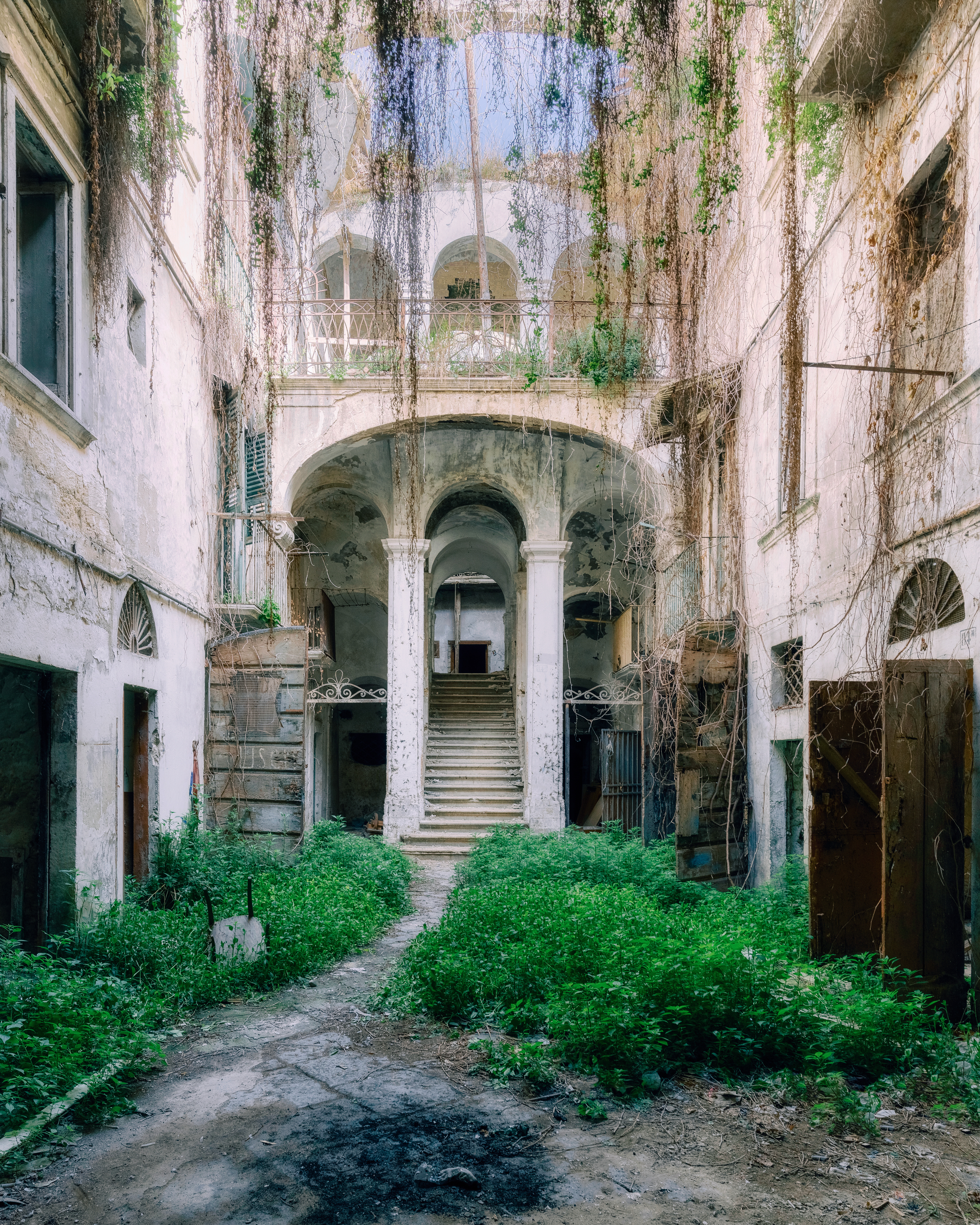 THE HANGING GARDEN