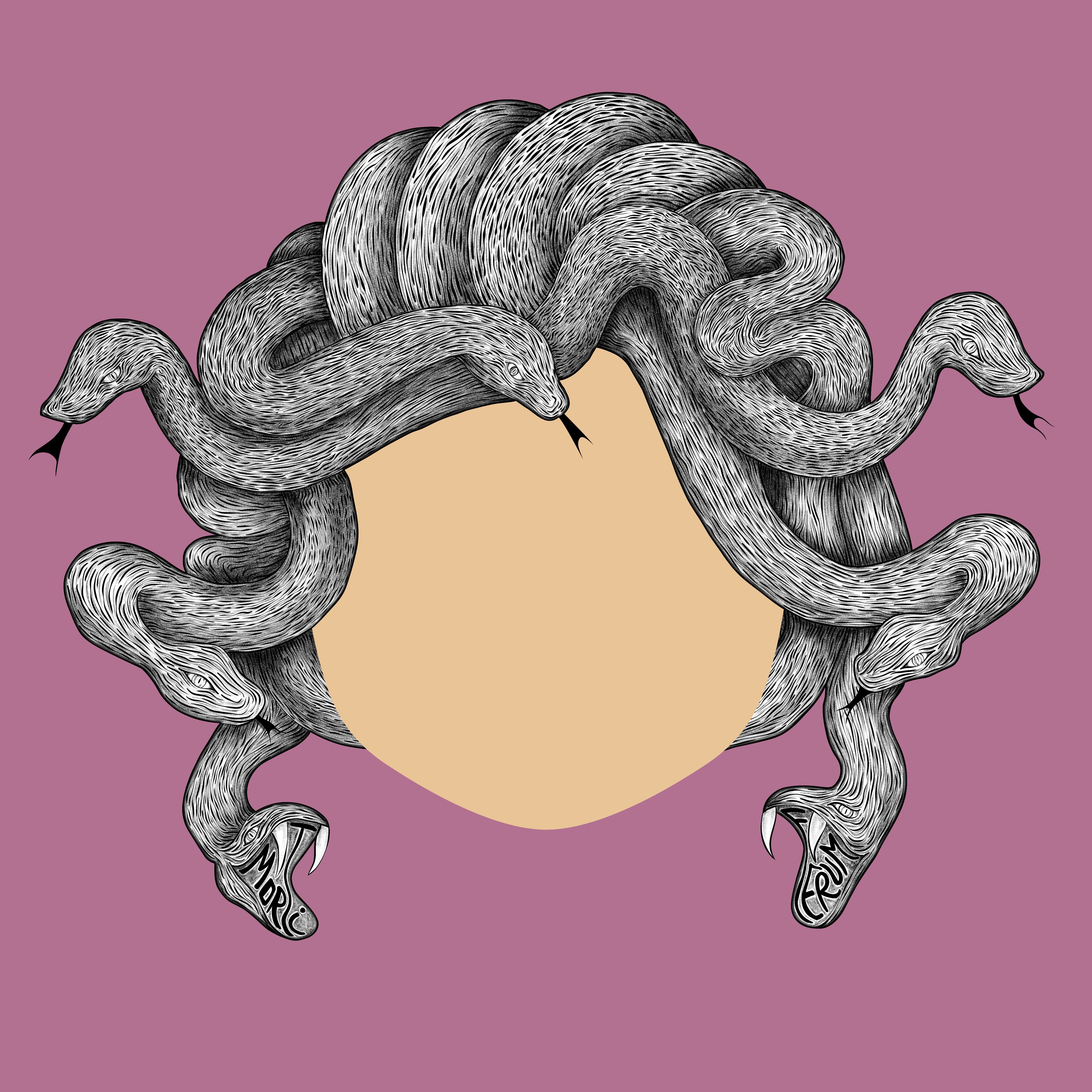 Medusa