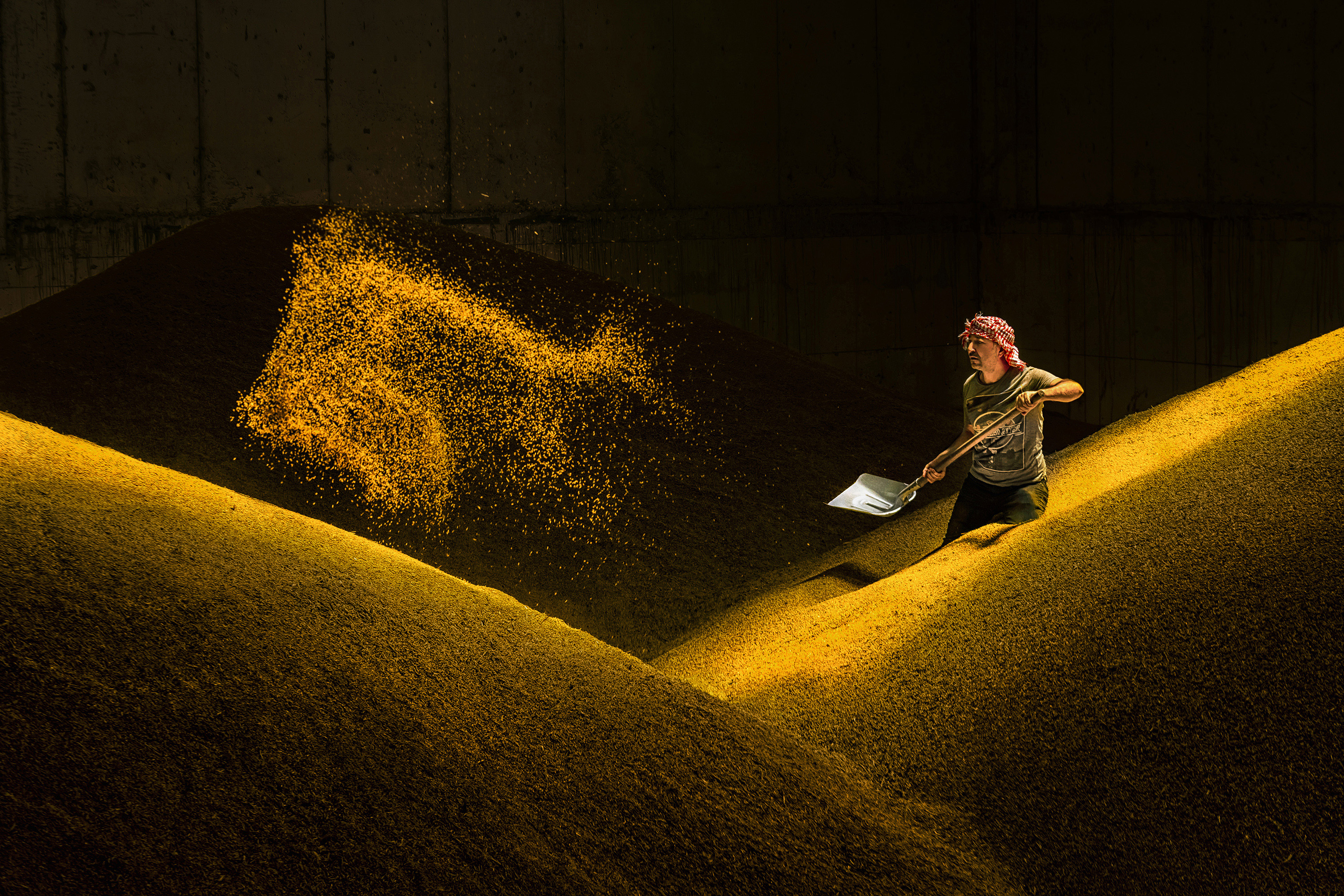  Gold of Farmers