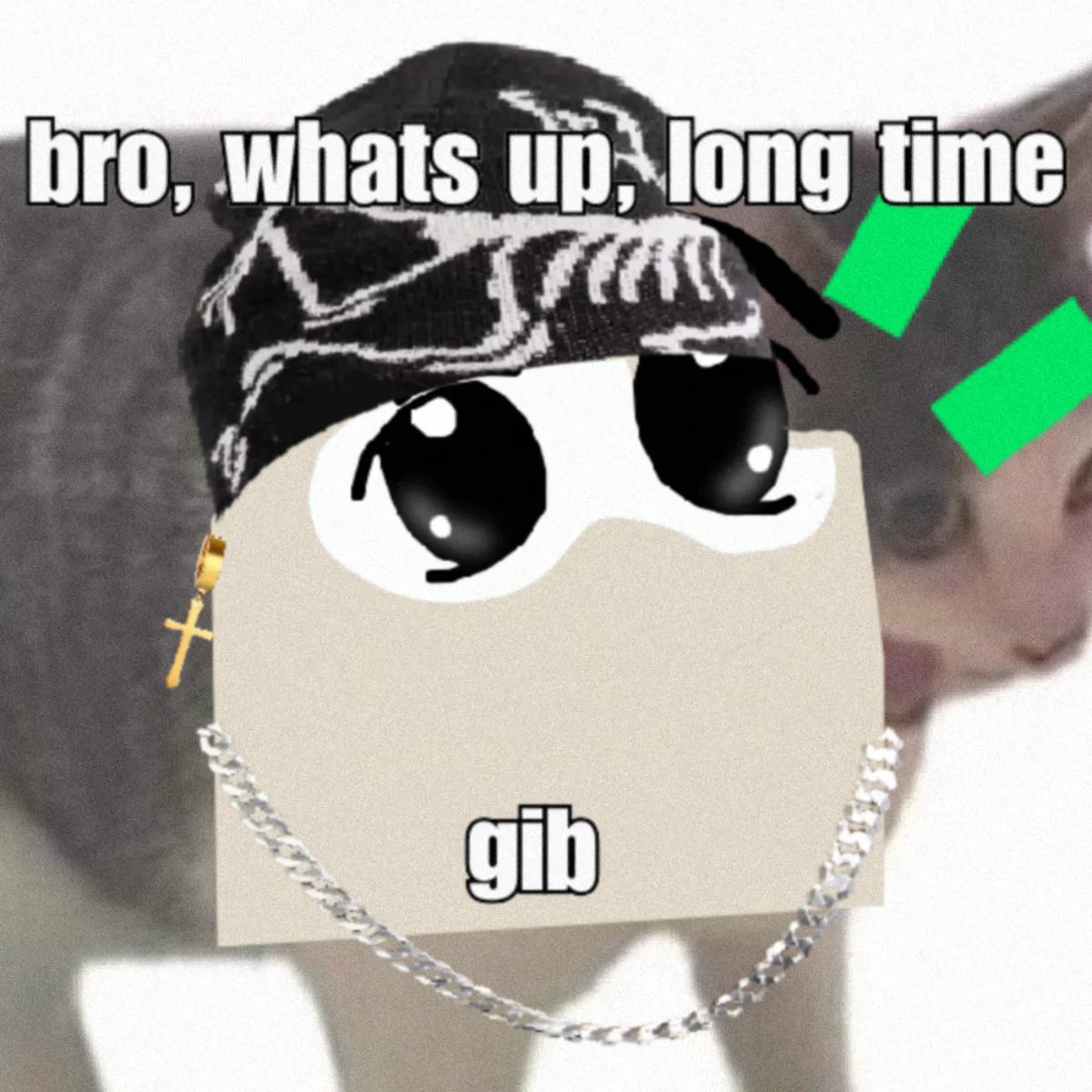 Tut Loudio #636