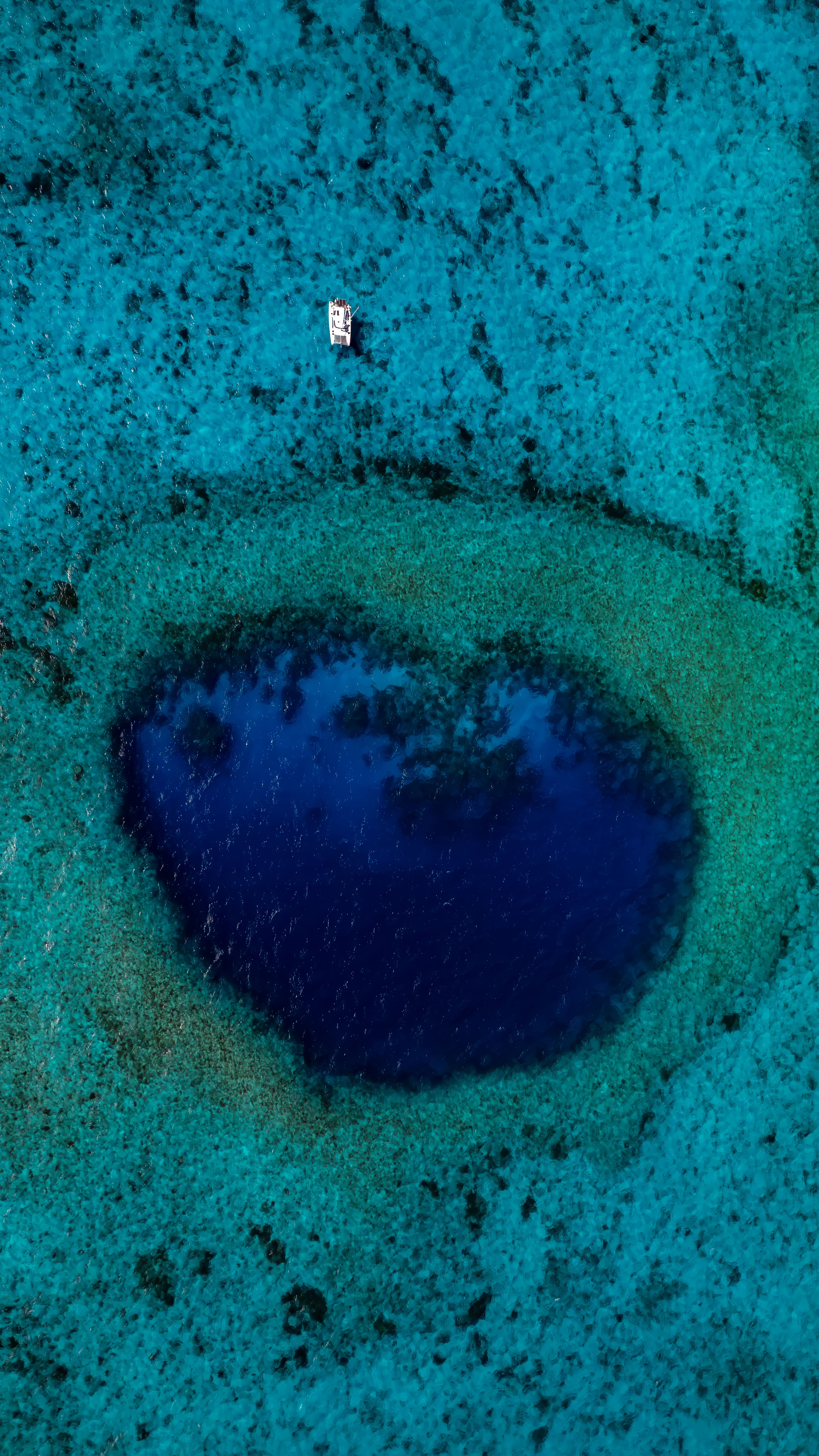 The Void