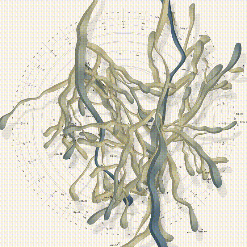 Tracing Archetypes #1