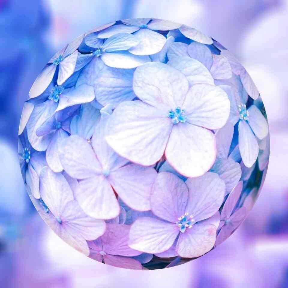 Marbles World : Hydrangea 4/5