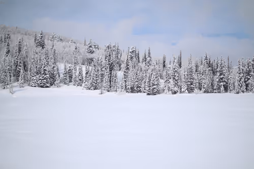 snow