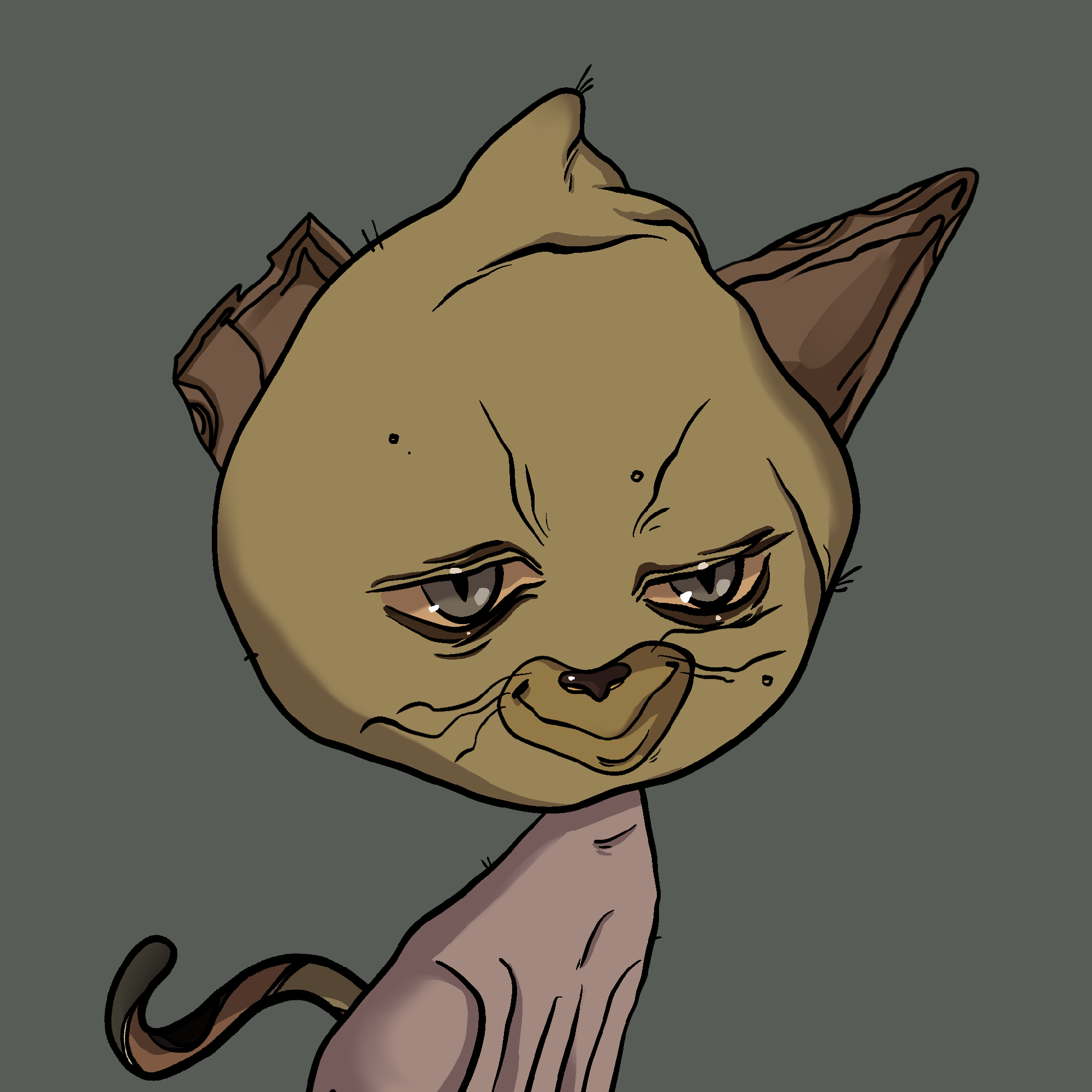  #506