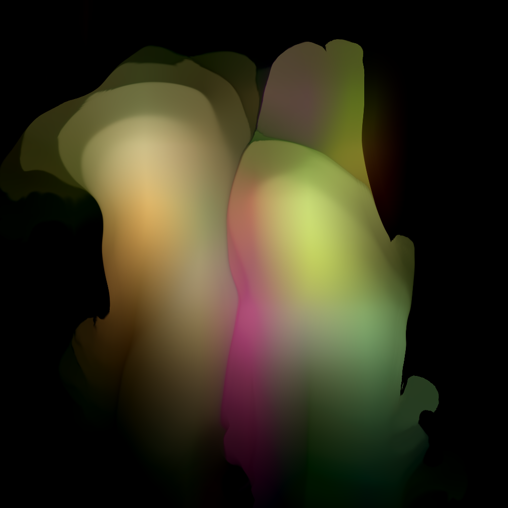 Flora #13