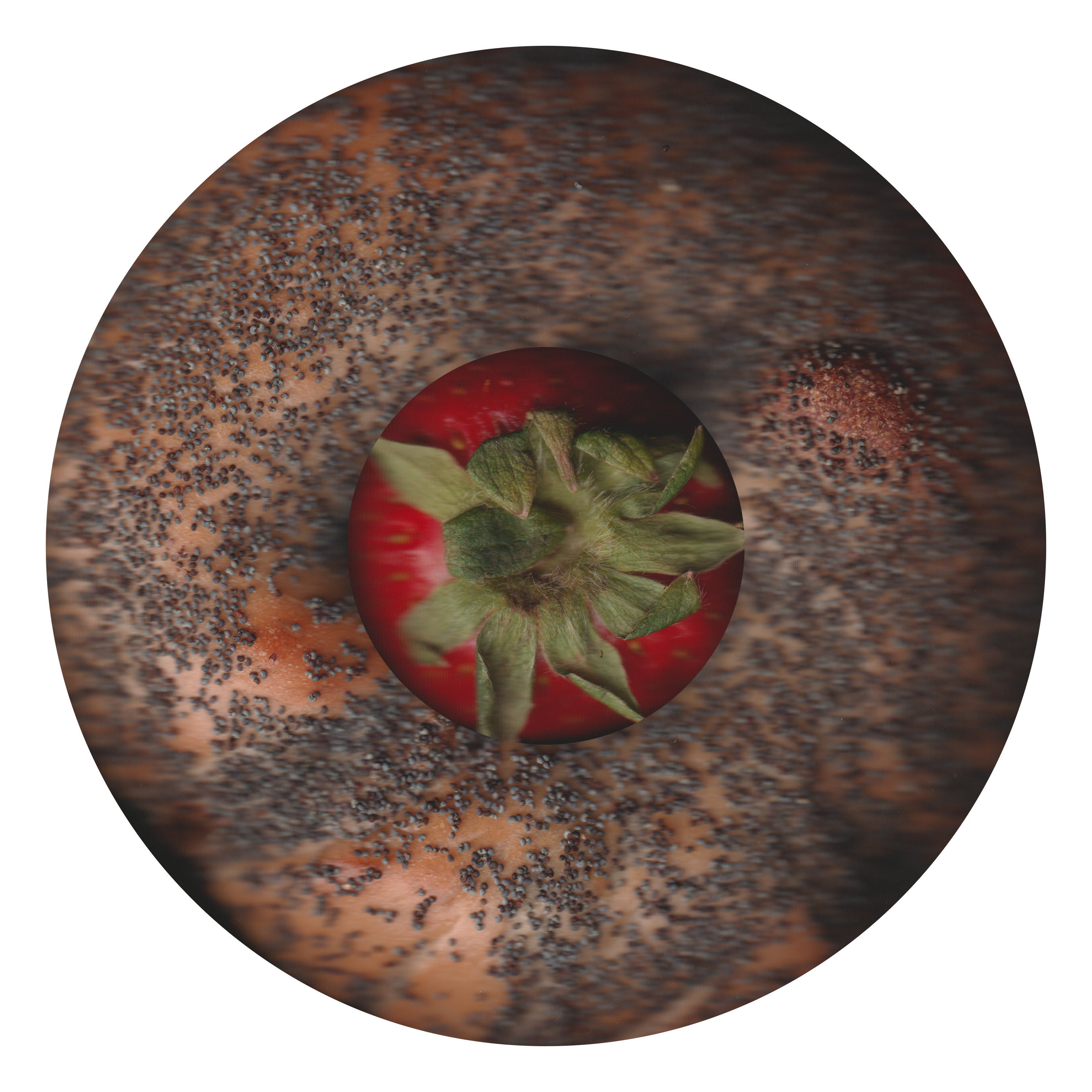 Heft Circle #21