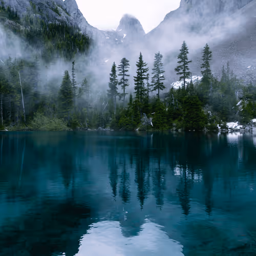 Wilderness of Washington #8