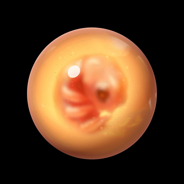 DuskBreakers Gribble Egg #423