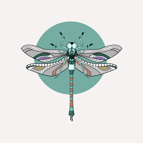 Anisoptera Tetradic: Green Sheen