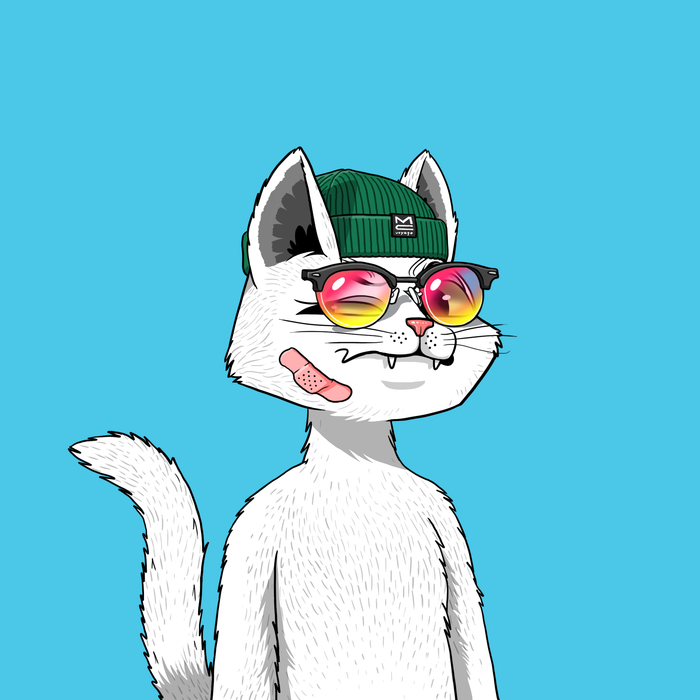 Mars Cat #437