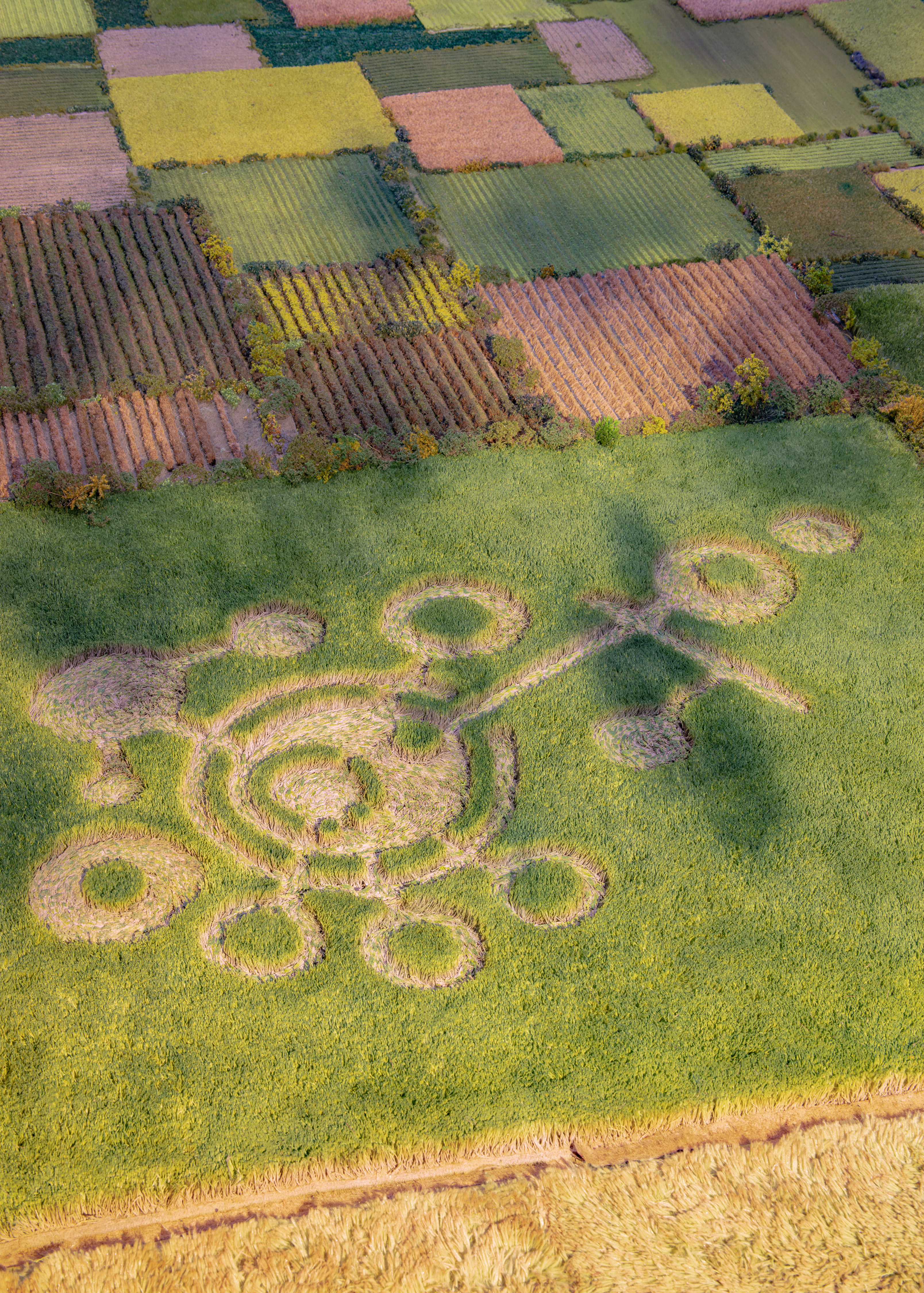 Strange Worlds - Crop Circle 2