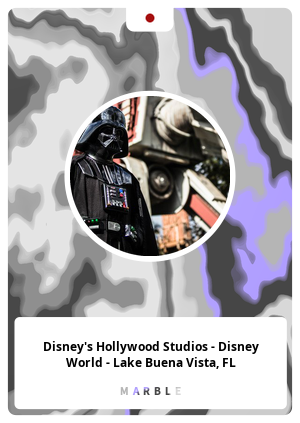 Disney's Hollywood Studios - Disney World - Lake Buena Vista, FL