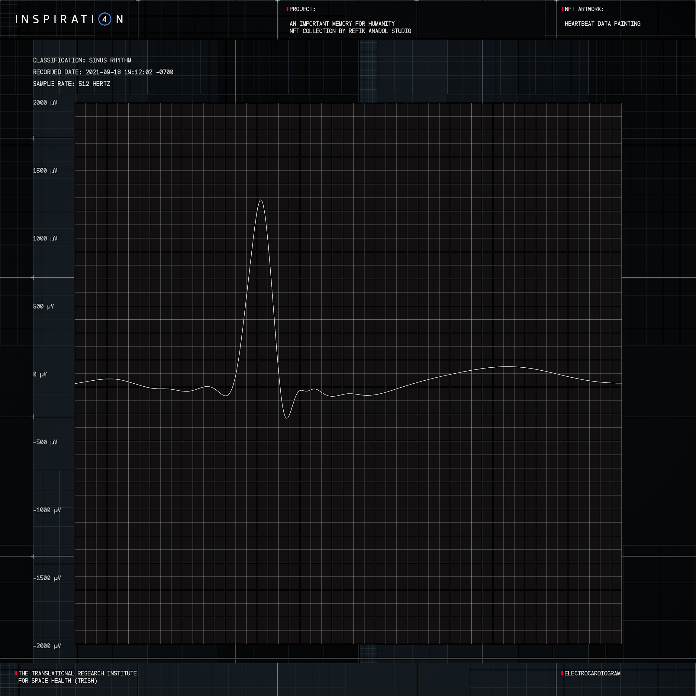 HEARTBEAT DATA PAINTING #1053