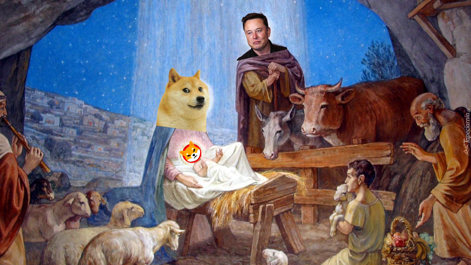 SHIBA