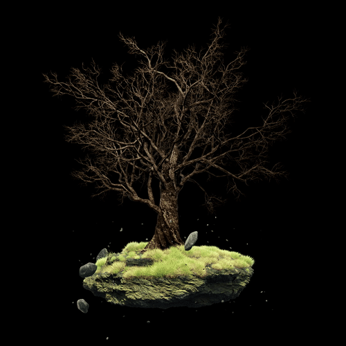 The Elder #01