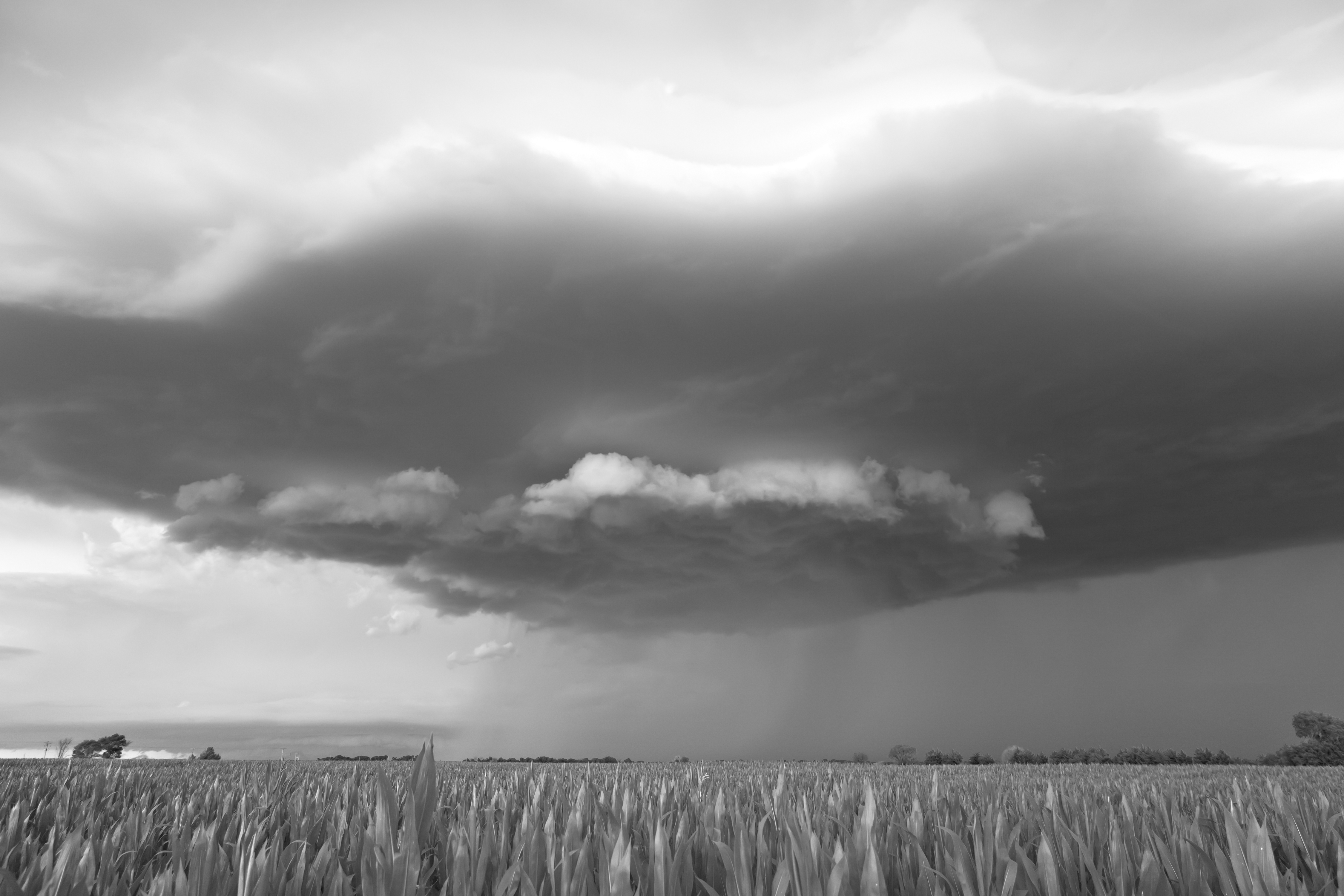 Storms - Raincloud