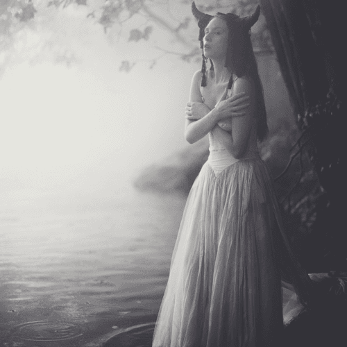 Photo #68