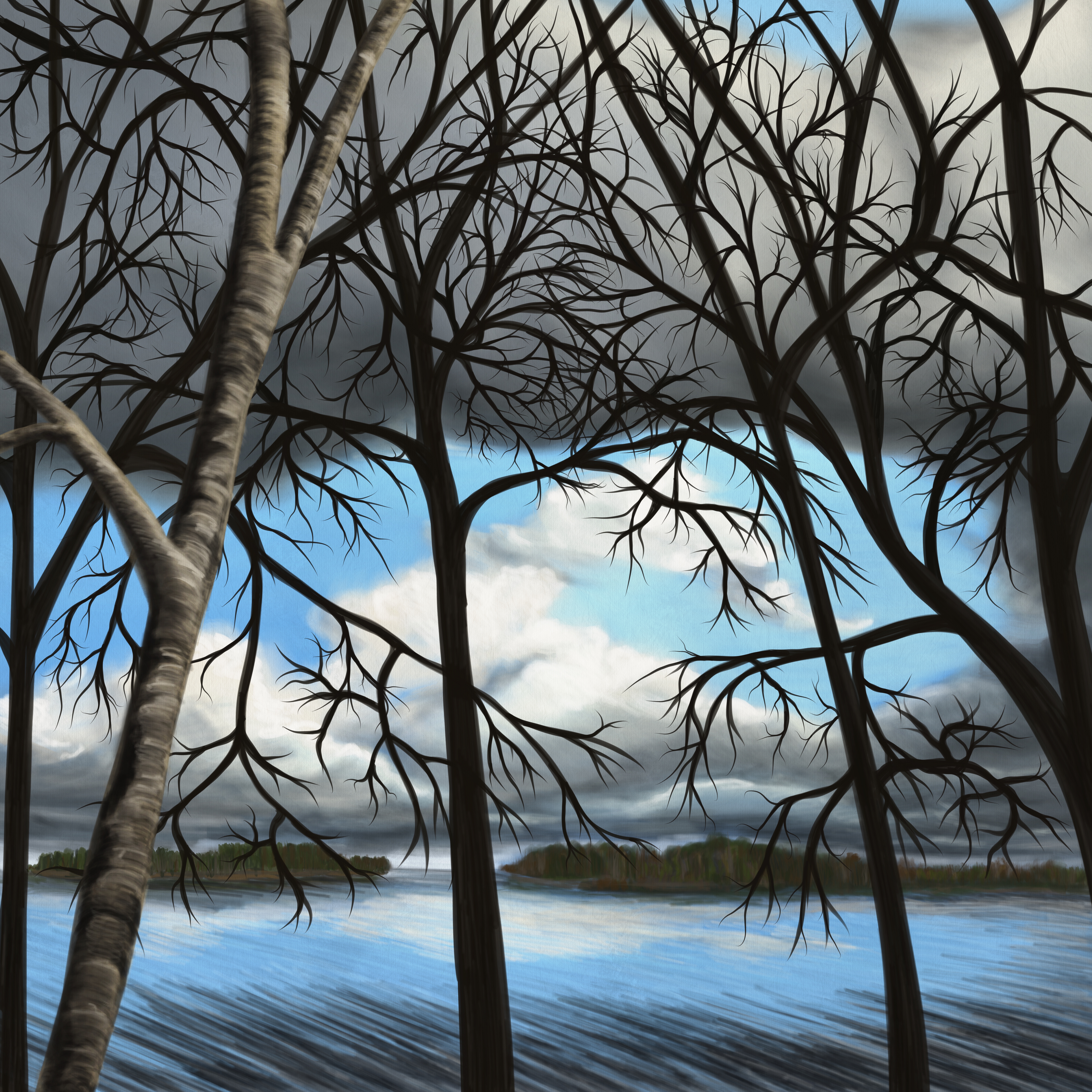 Life Impression 41