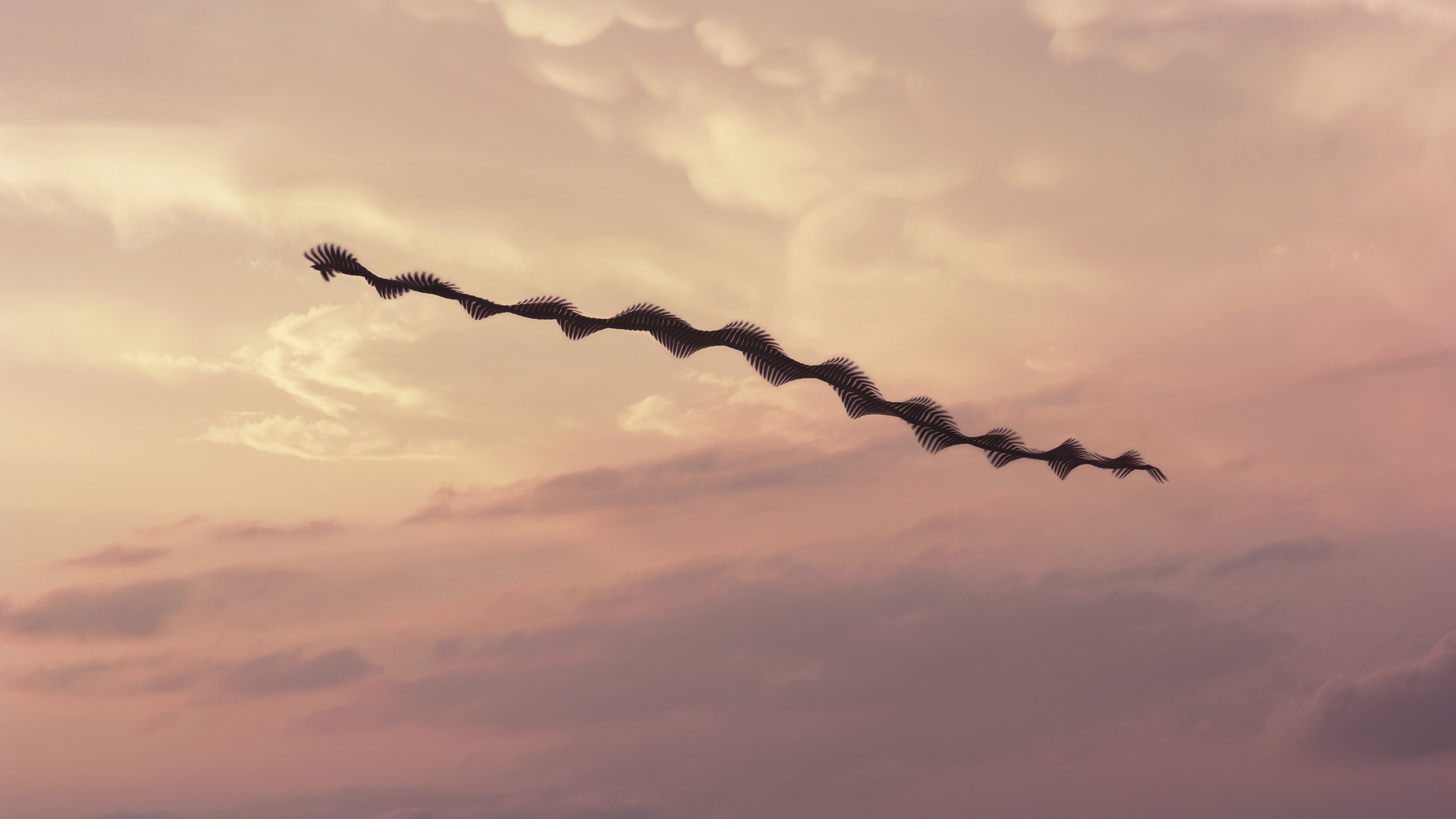 Ornithography #031