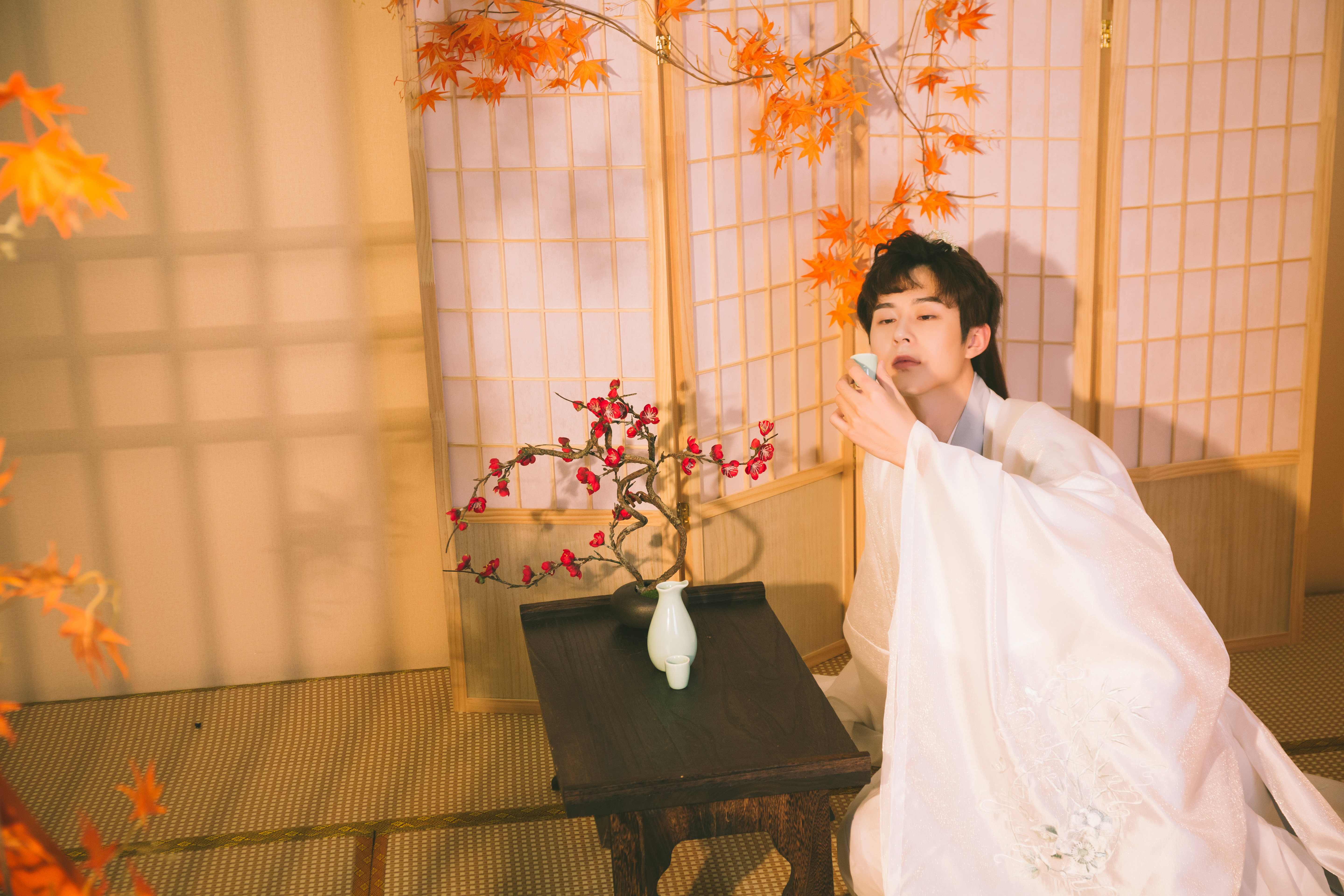  “ The Prince of the World ” series - Free Saint
